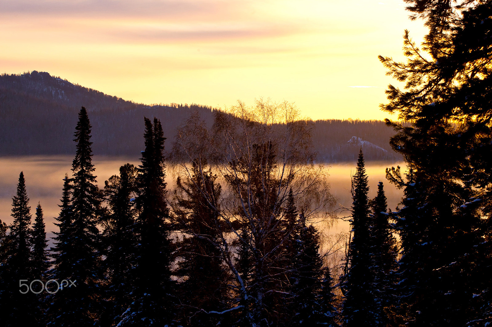 Canon EOS-1D Mark III + Canon EF 100-400mm F4.5-5.6L IS USM sample photo. Sunset in the forest photography