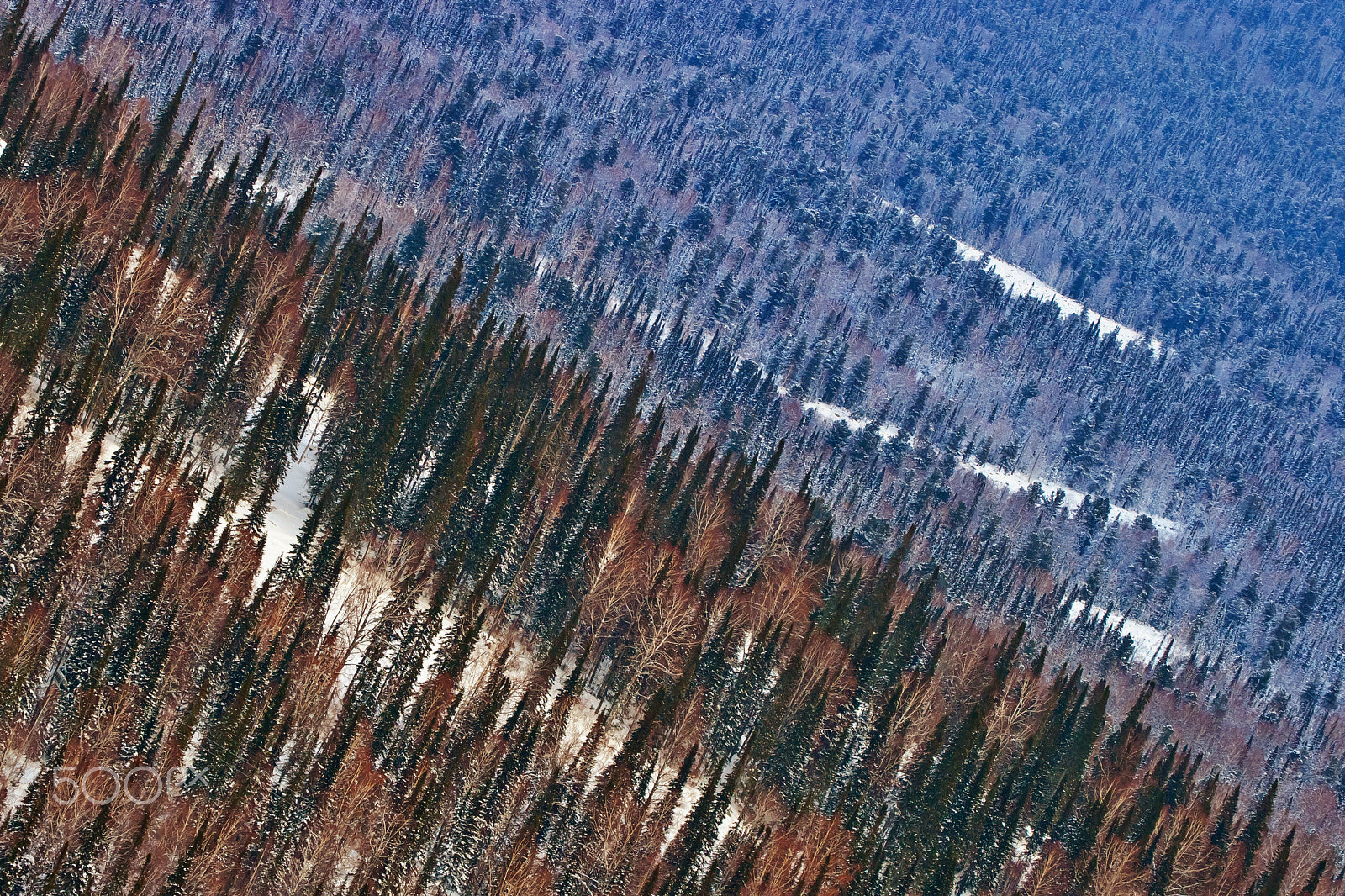 Canon EOS-1D Mark III + Canon EF 100-400mm F4.5-5.6L IS USM sample photo. Aerial view on the forest photography