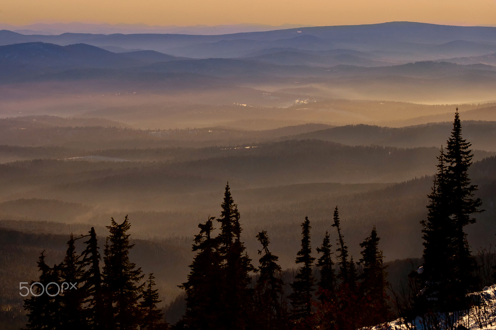 Canon EOS-1D Mark III sample photo. Trees on the mountain background photography