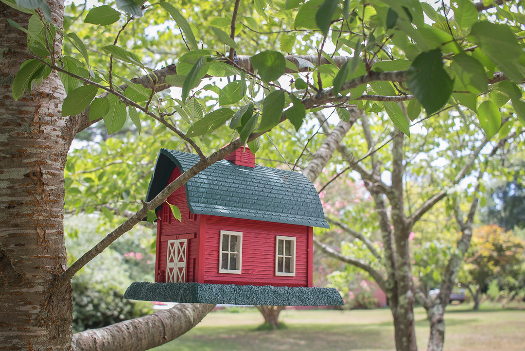 Canon EOS 100D (EOS Rebel SL1 / EOS Kiss X7) sample photo. Granddad's birdfeeder | wilmington | nc photography