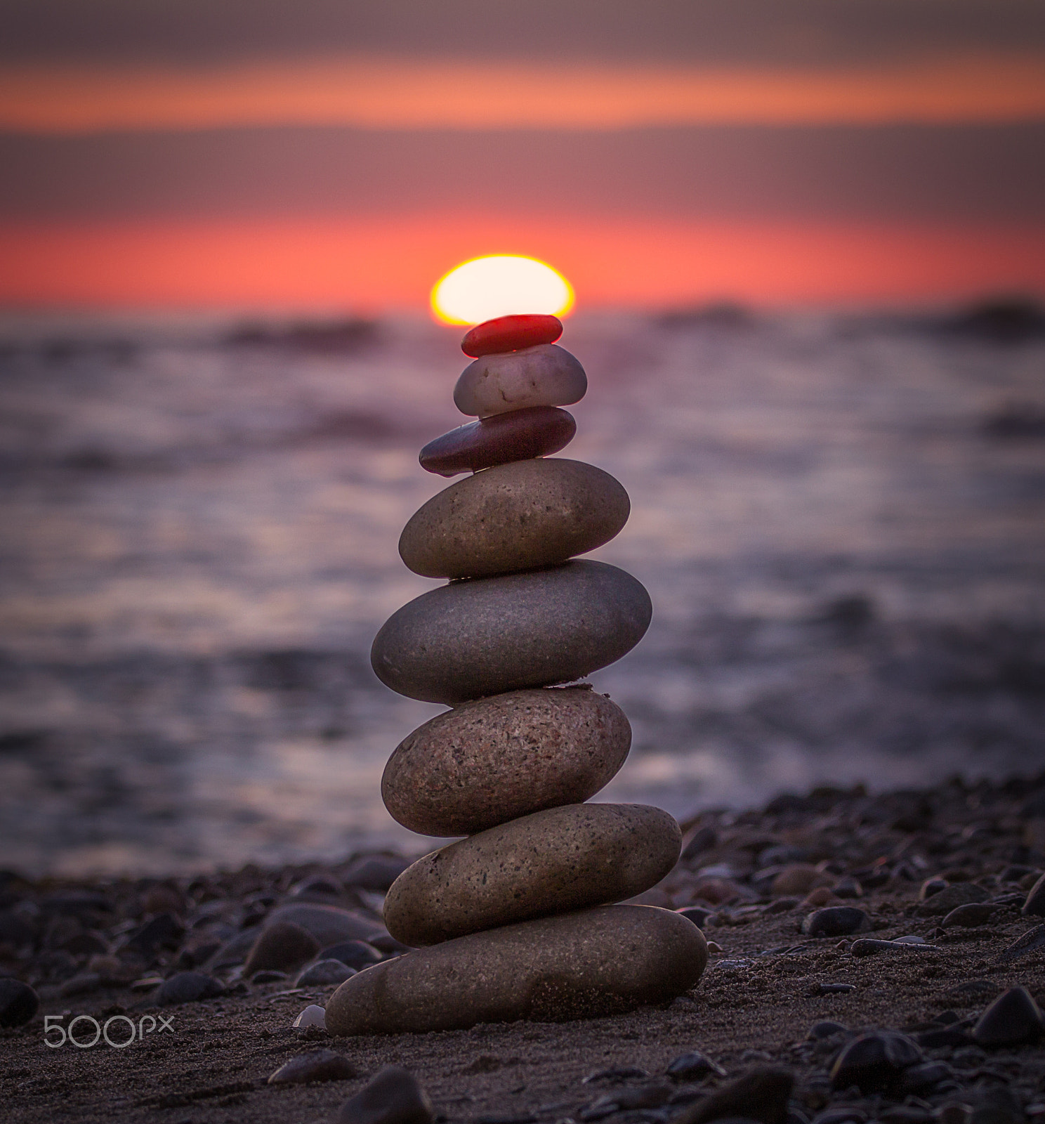 150-600mm F5-6.3 DG OS HSM | Contemporary 015 sample photo. Piling to reach sun photography