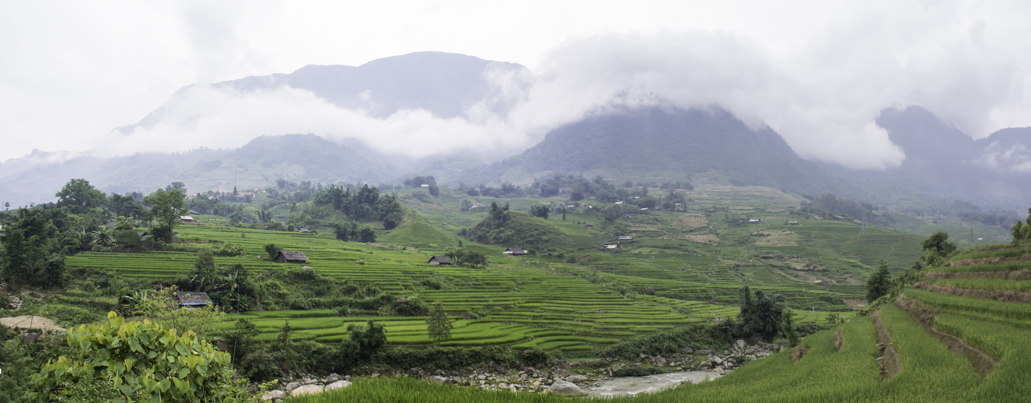 Nikon 1 Nikkor 10mm F2.8 sample photo. Sapa rice fields photography