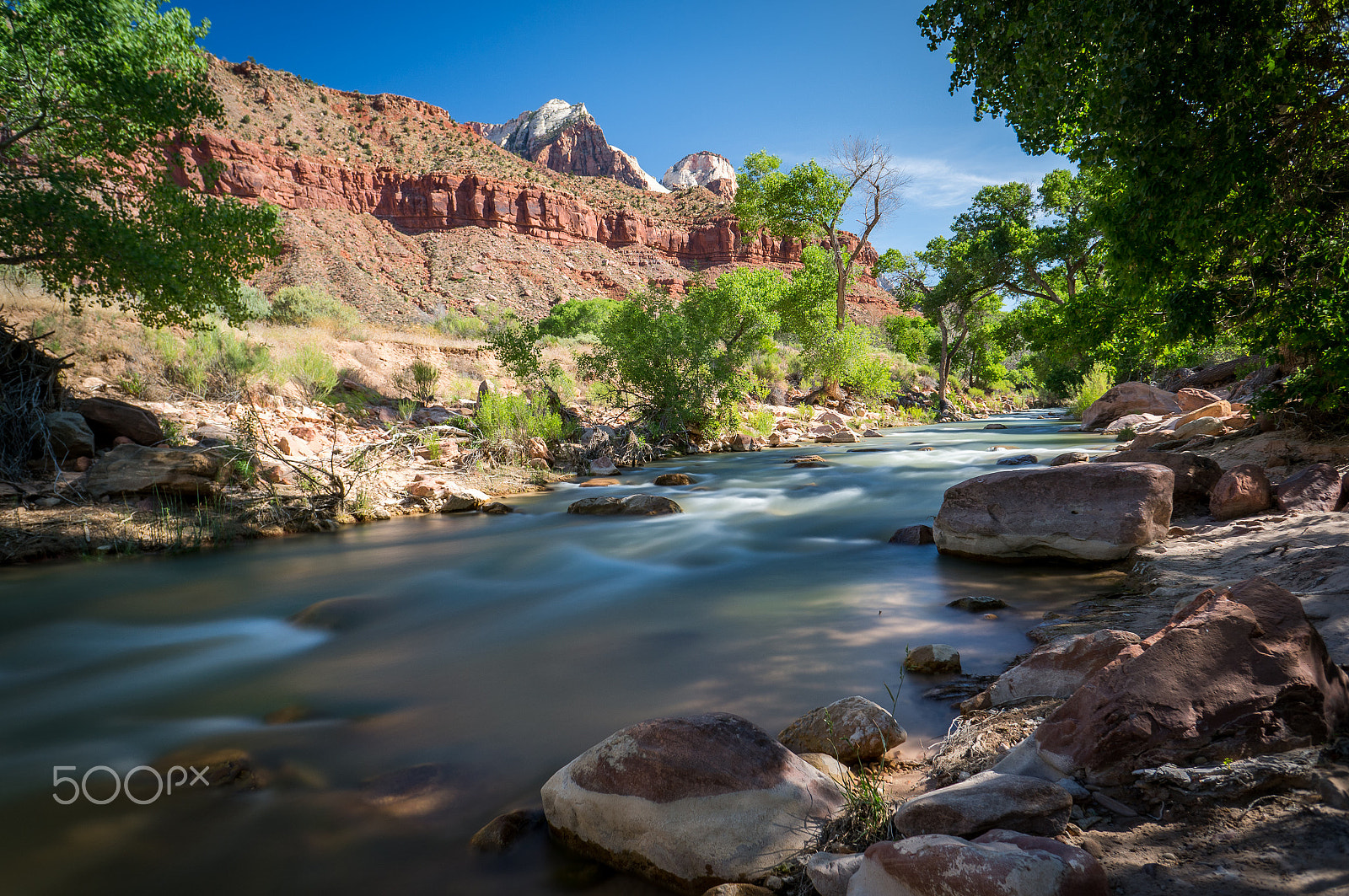 Sony Alpha NEX-5R + Sony E 16mm F2.8 sample photo. Morning in the zion national park photography