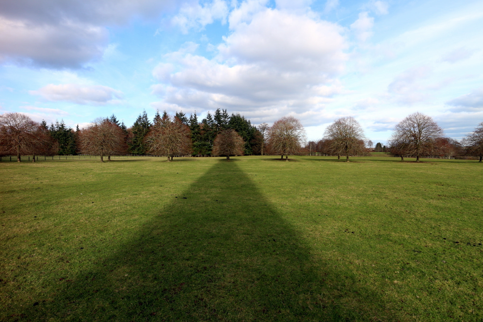 Canon EF-M 11-22mm F4-5.6 IS STM sample photo. Trees photography
