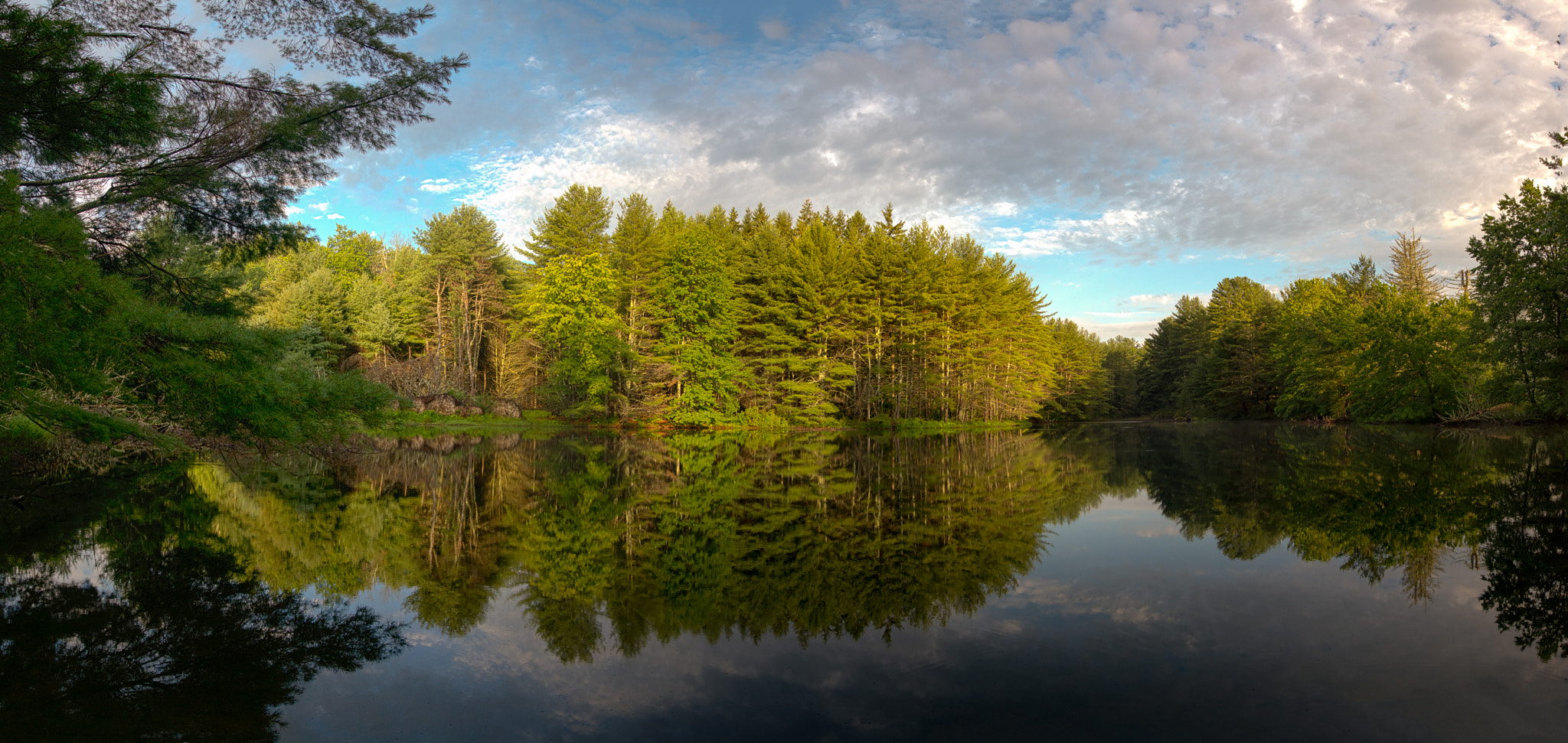 Pentax K-5 IIs sample photo. Morning magic forest photography