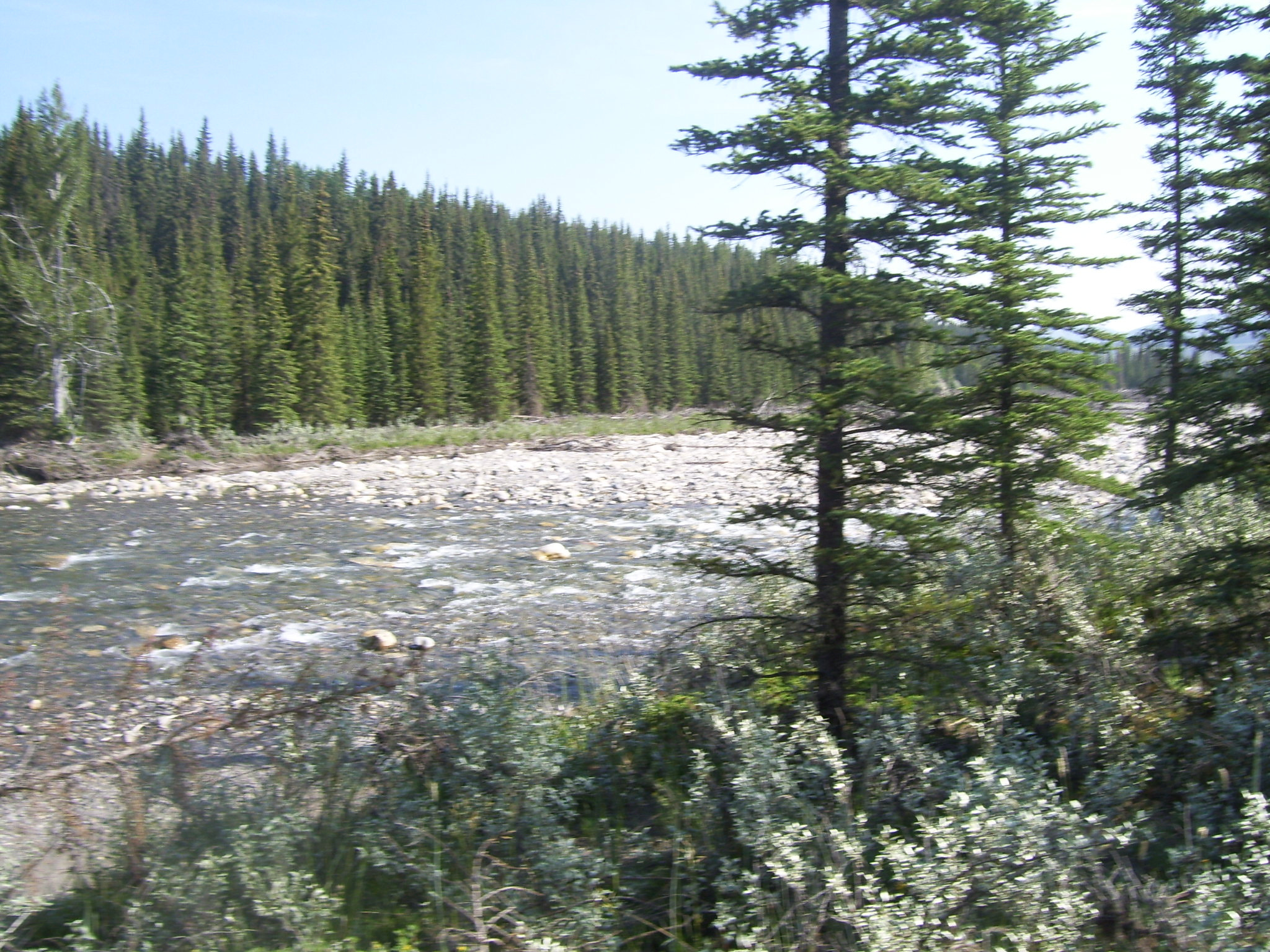 Kodak EASYSHARE C653 ZOOM DIGITAL CAMERA sample photo. Calgary photography