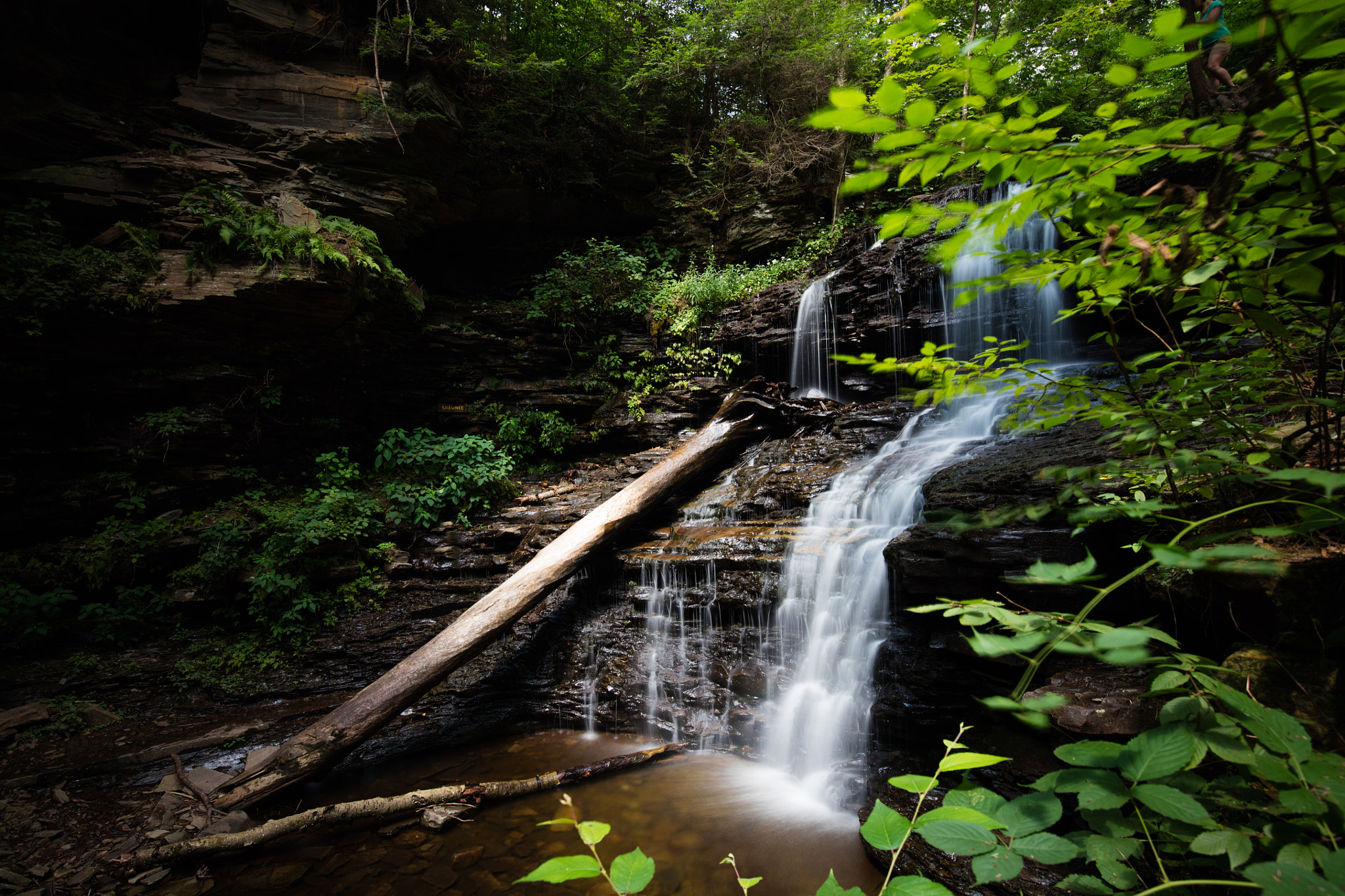 Canon EOS 5DS + Canon EF 16-35mm F4L IS USM sample photo. Ricketts glen state park waterfall photography