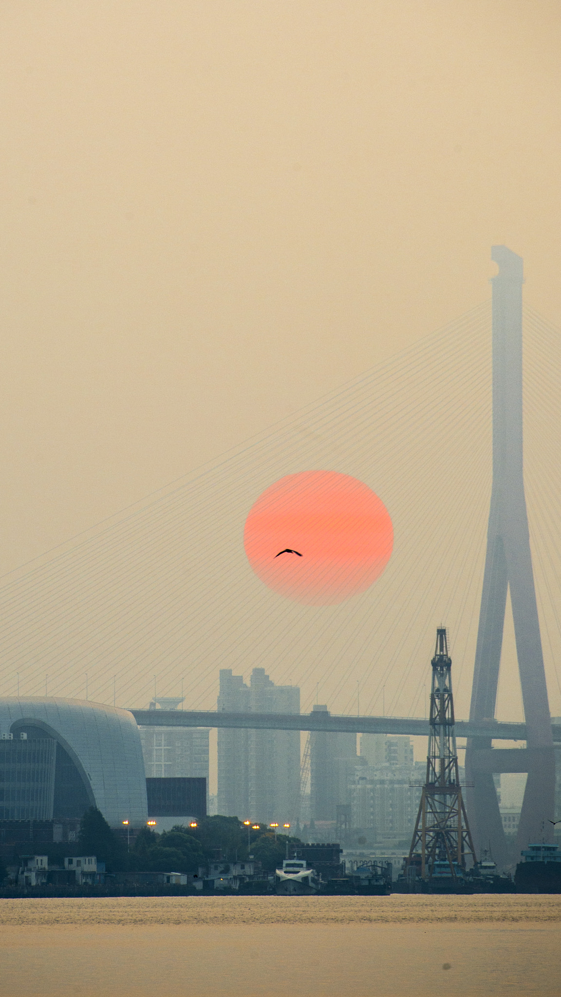 Nikon Df sample photo. Sunset of huangpuriver photography