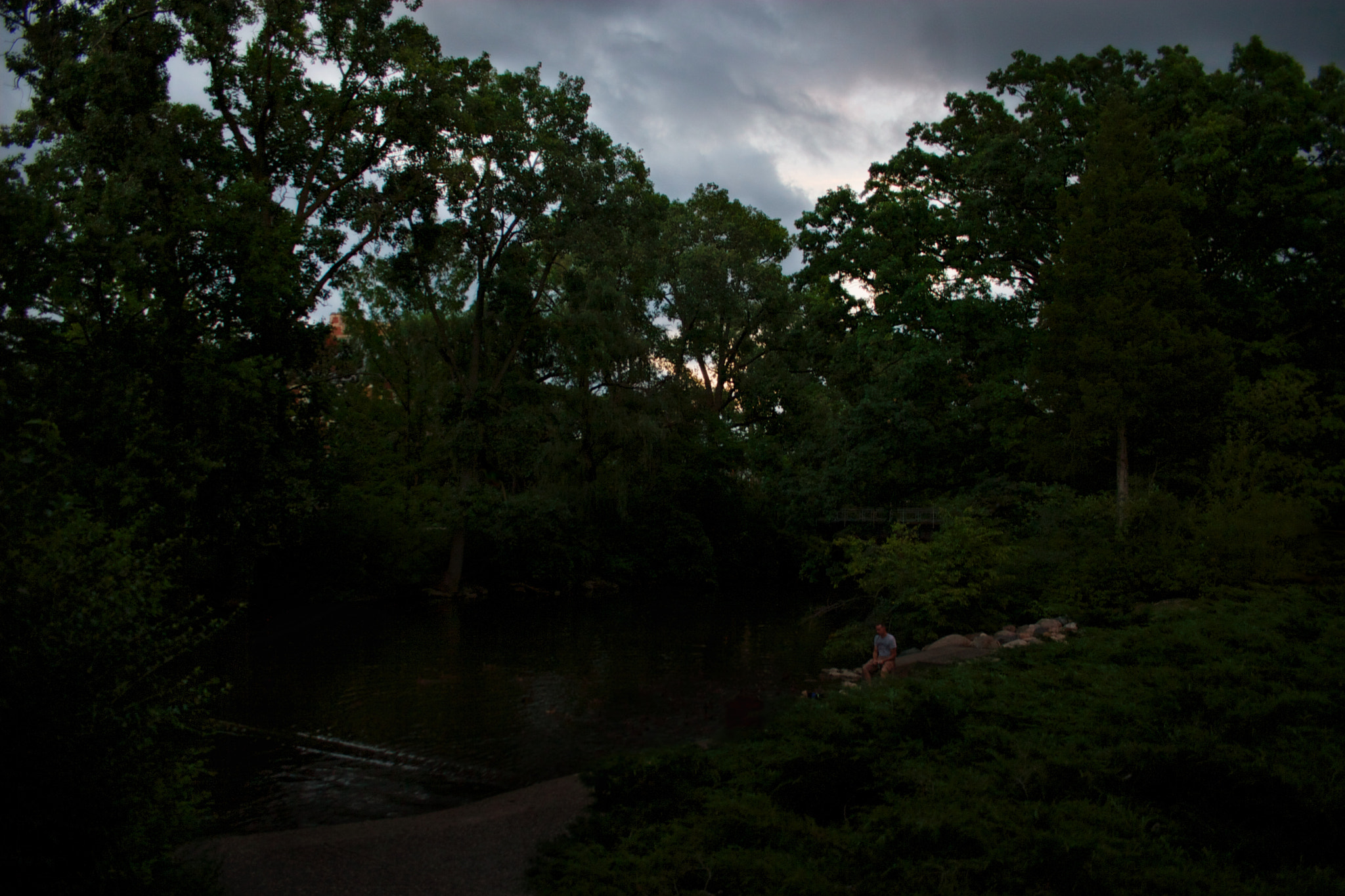 Canon EOS 30D + Canon EF-S 18-55mm F3.5-5.6 sample photo. Evening duck feeding photography