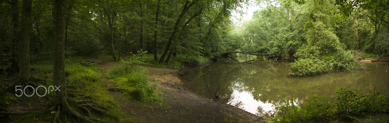 Sony a7R II + Sony DT 50mm F1.8 SAM sample photo. De river park photography