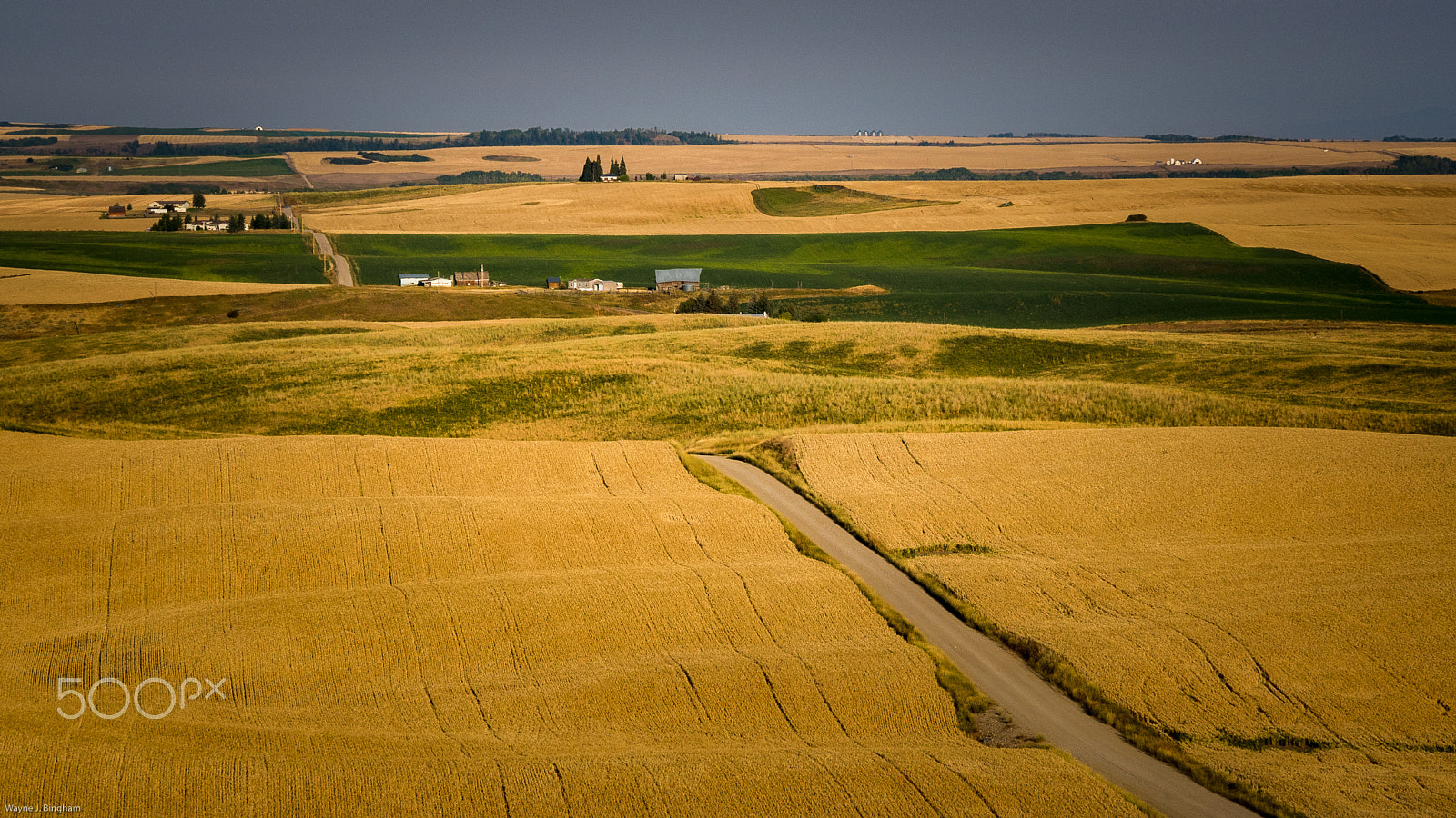 Olympus OM-D E-M5 II sample photo. Patchwork photography