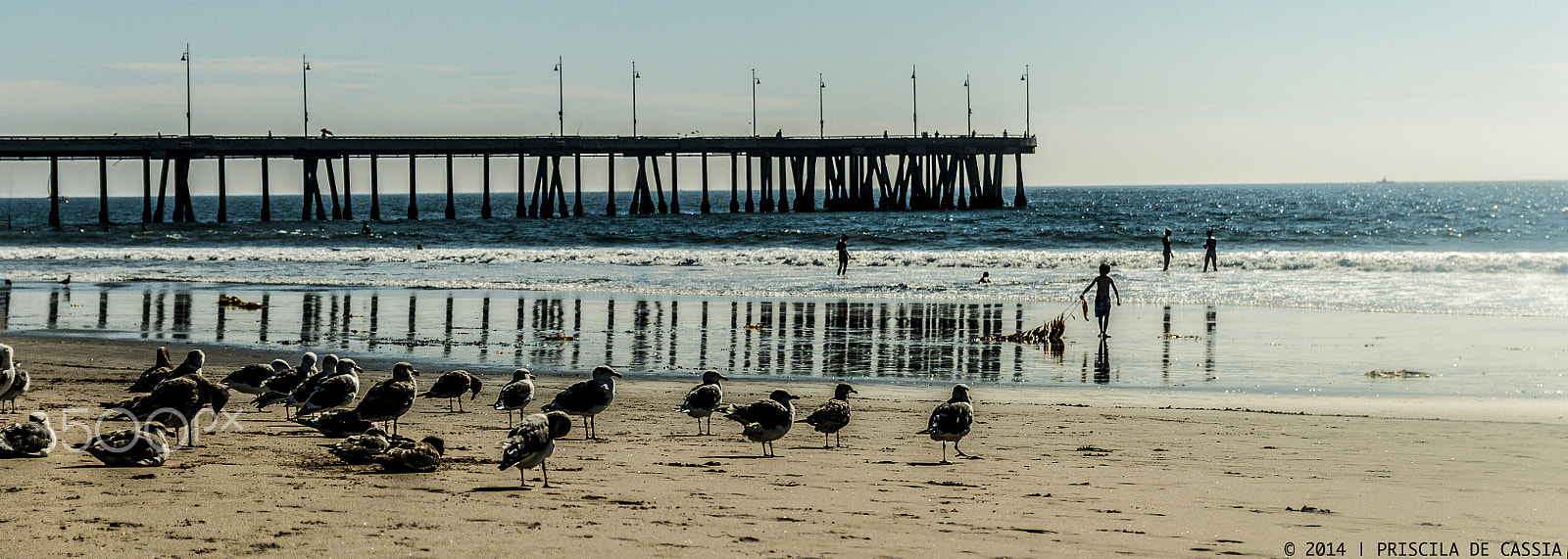 Nikon D90 sample photo. Afternoon in venice photography