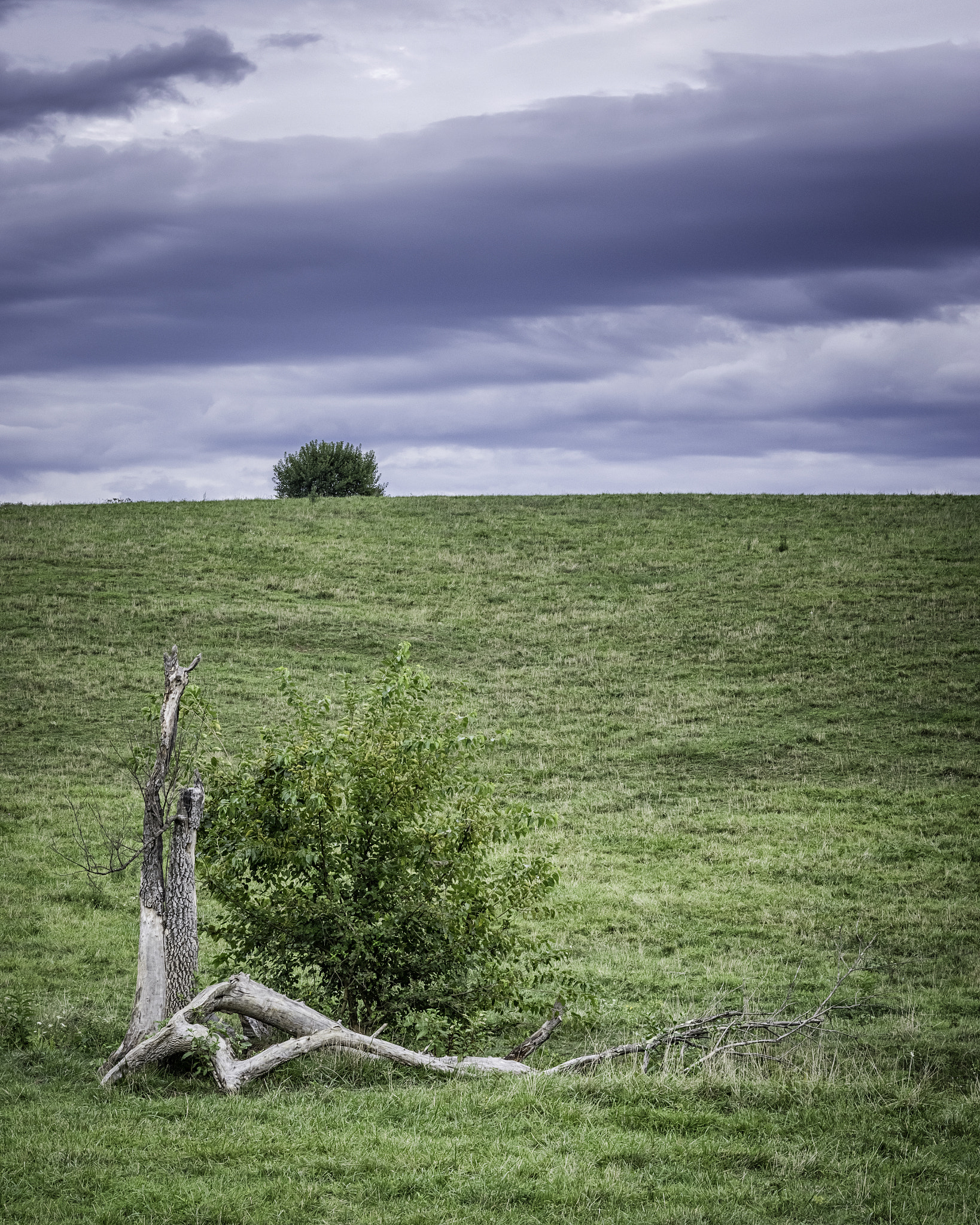 Pentax K-3 II + Pentax smc DA 50mm F1.8 sample photo. Fauquier county, virginia photography