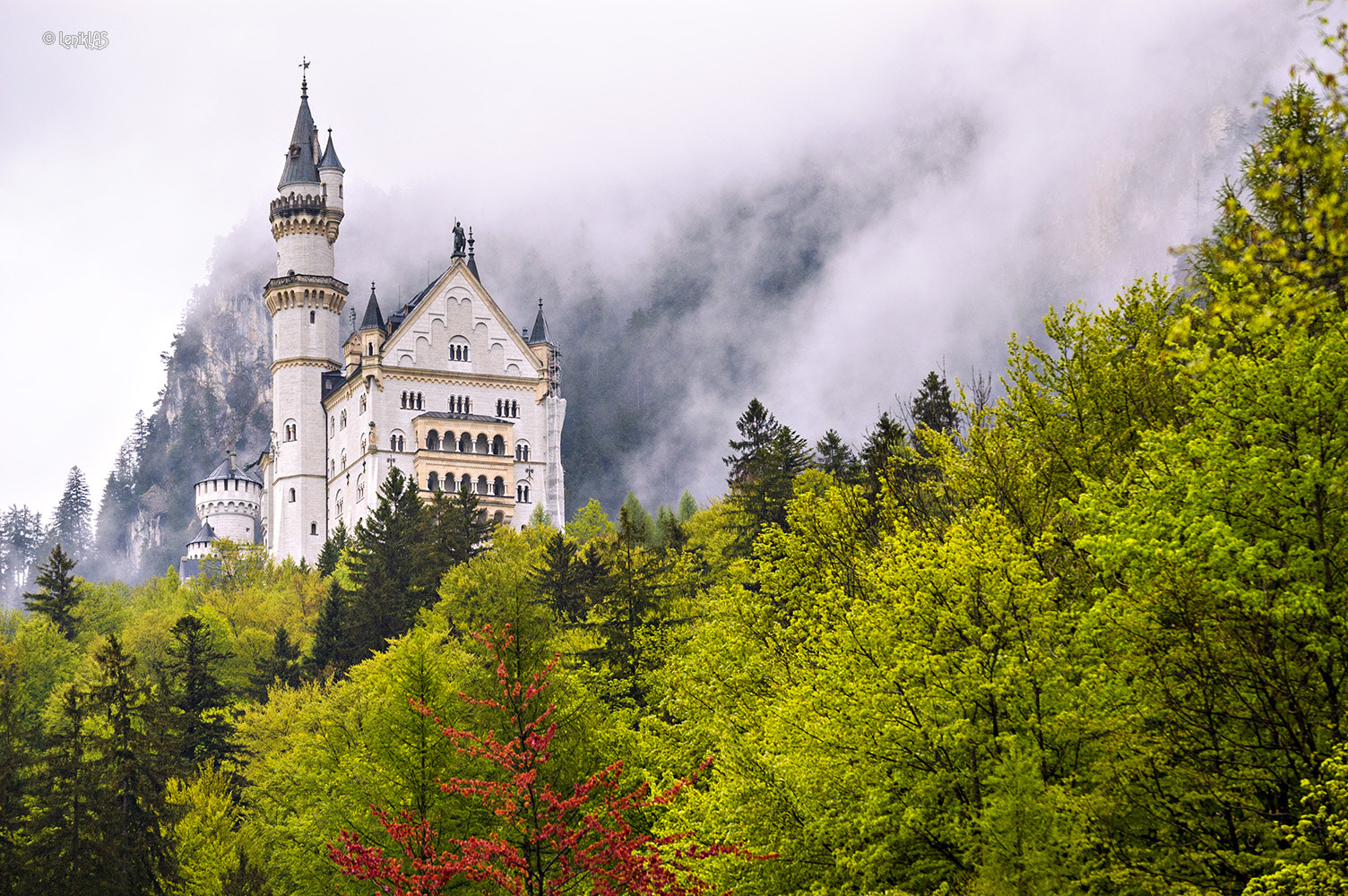 Nikon D50 sample photo. Neuschwanstein  photography