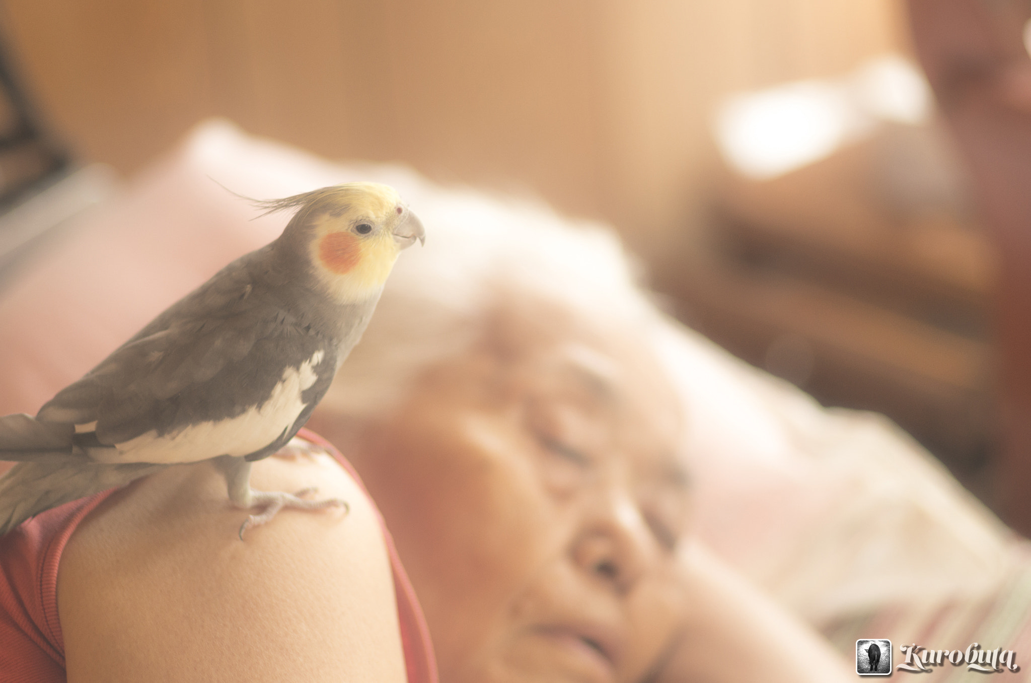 Pentax smc FA 77mm 1.8 Limited sample photo. Peaceful time photography