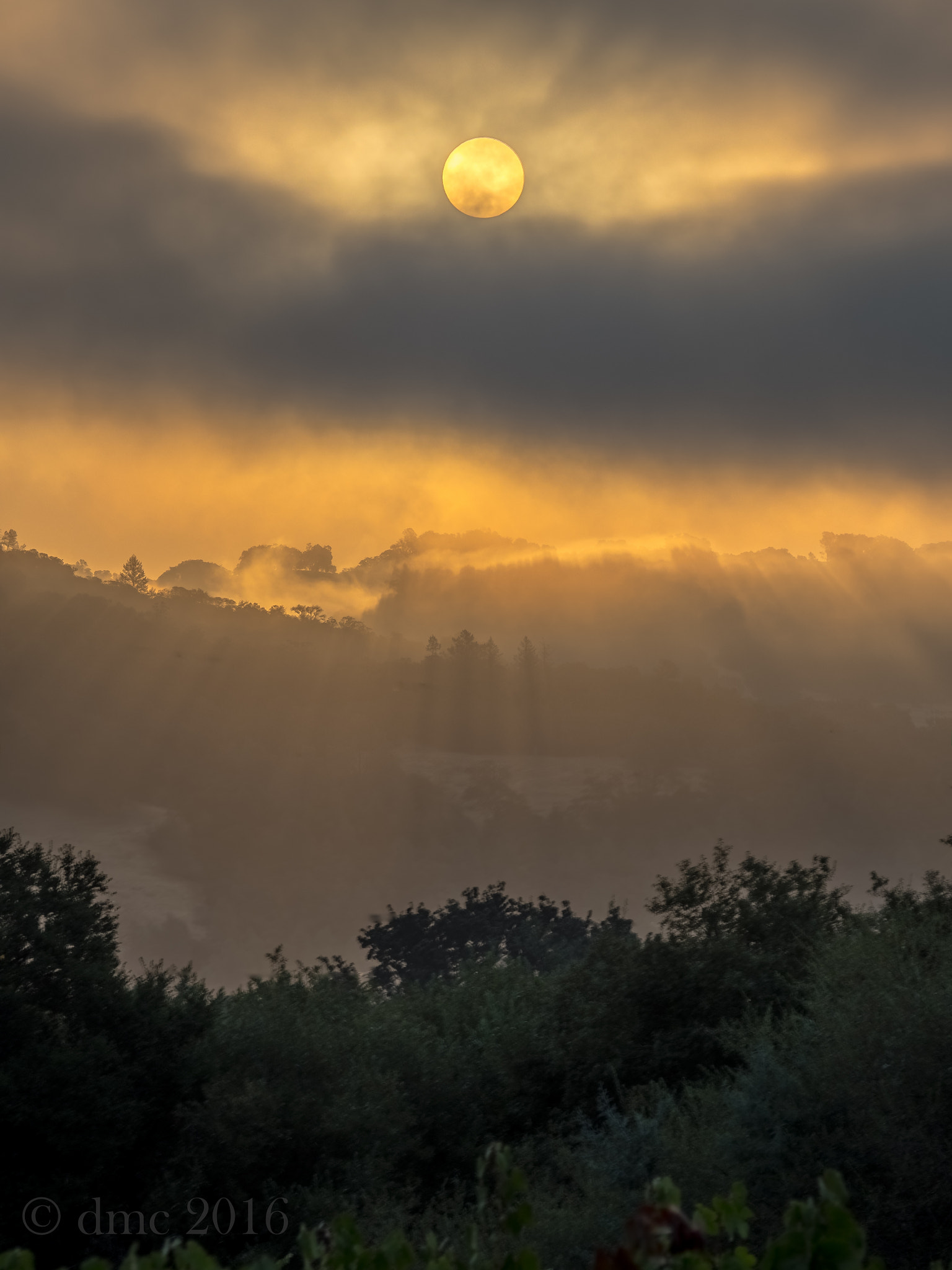 Olympus OM-D E-M5 II sample photo. Solar brume photography