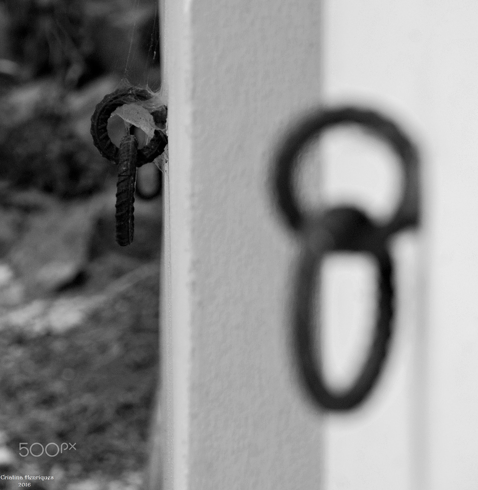 Nikon D40X sample photo. Timeless links photography