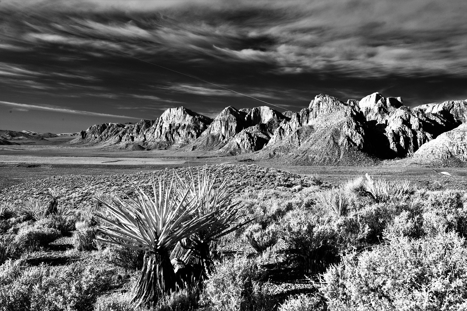 Nikon D3X sample photo. Red rock in infrared 2 photography