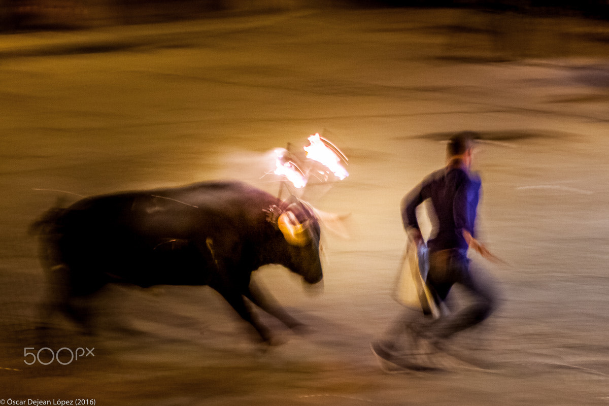 Canon EOS 50D sample photo. Fire bull photography
