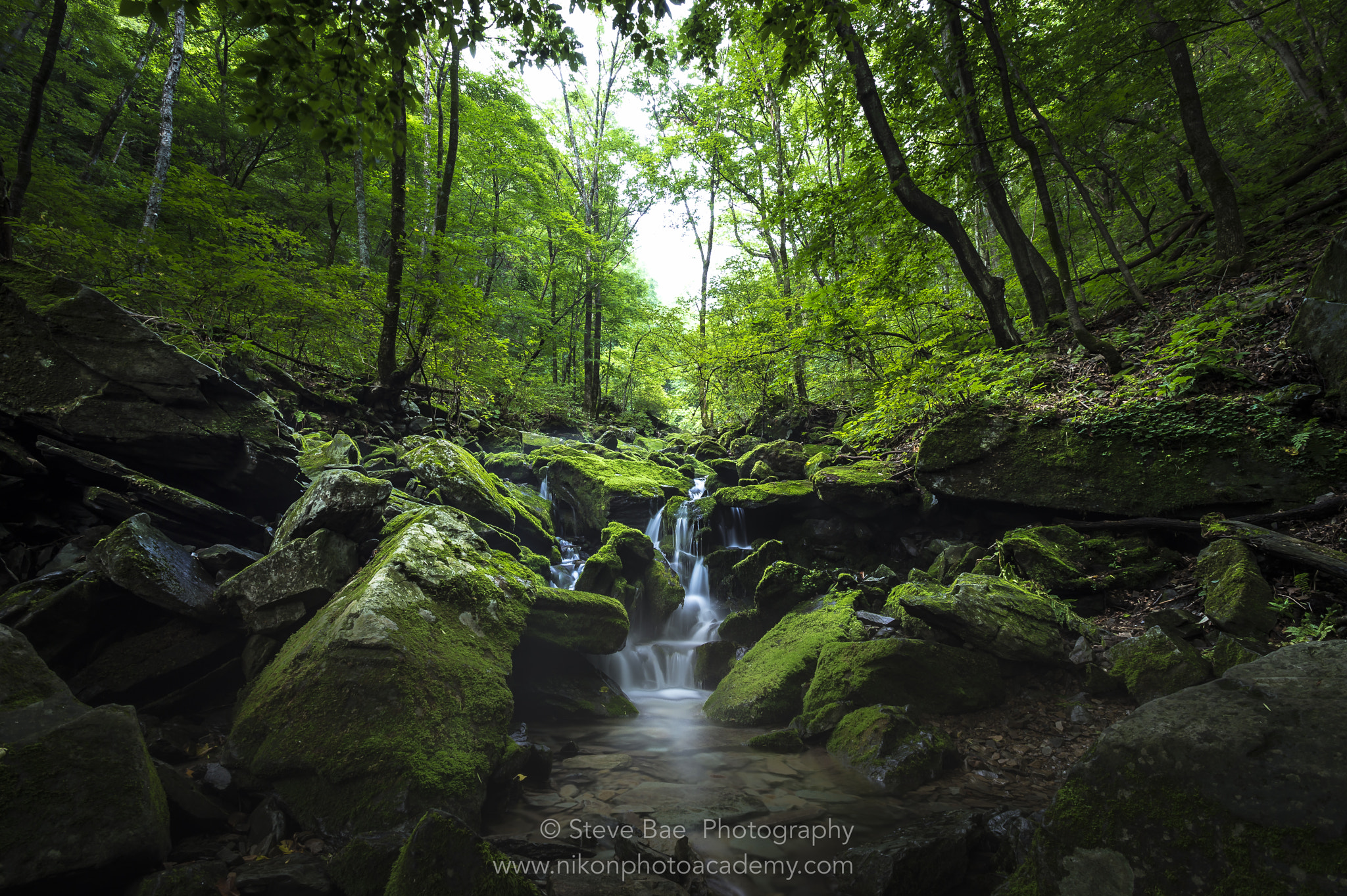 Nikon AF-S Nikkor 17-35mm F2.8D ED-IF sample photo. Moss valley photography