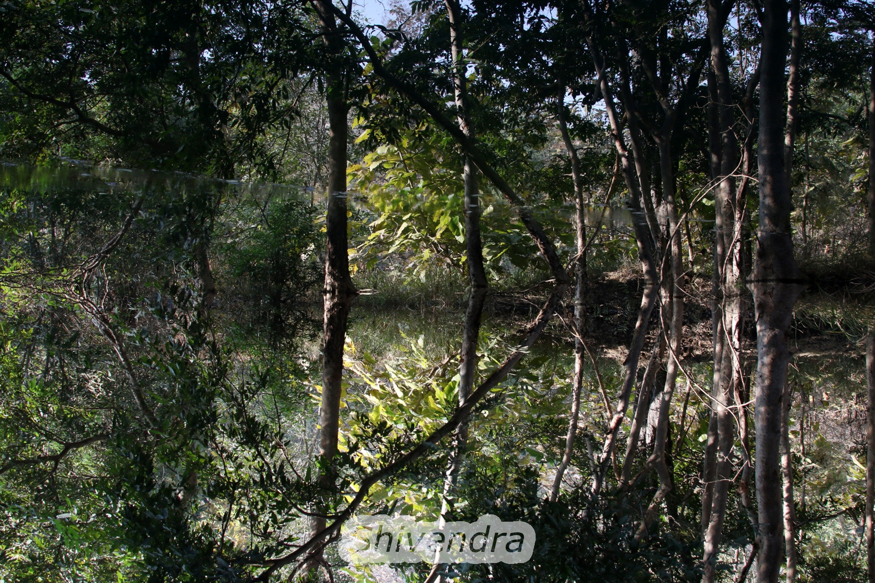 Canon EF 28-300mm F3.5-5.6L IS USM sample photo