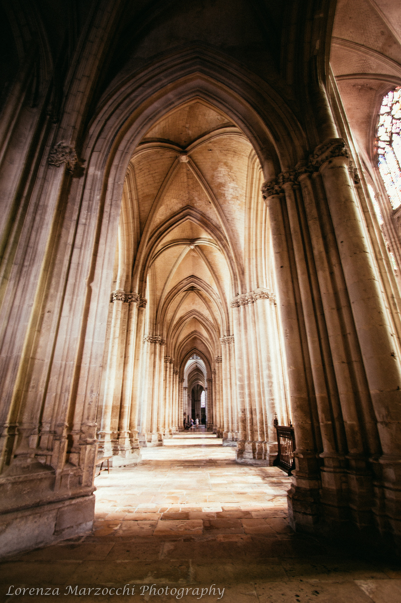 Canon EF-S 10-22mm F3.5-4.5 USM sample photo. Cathedral columns photography