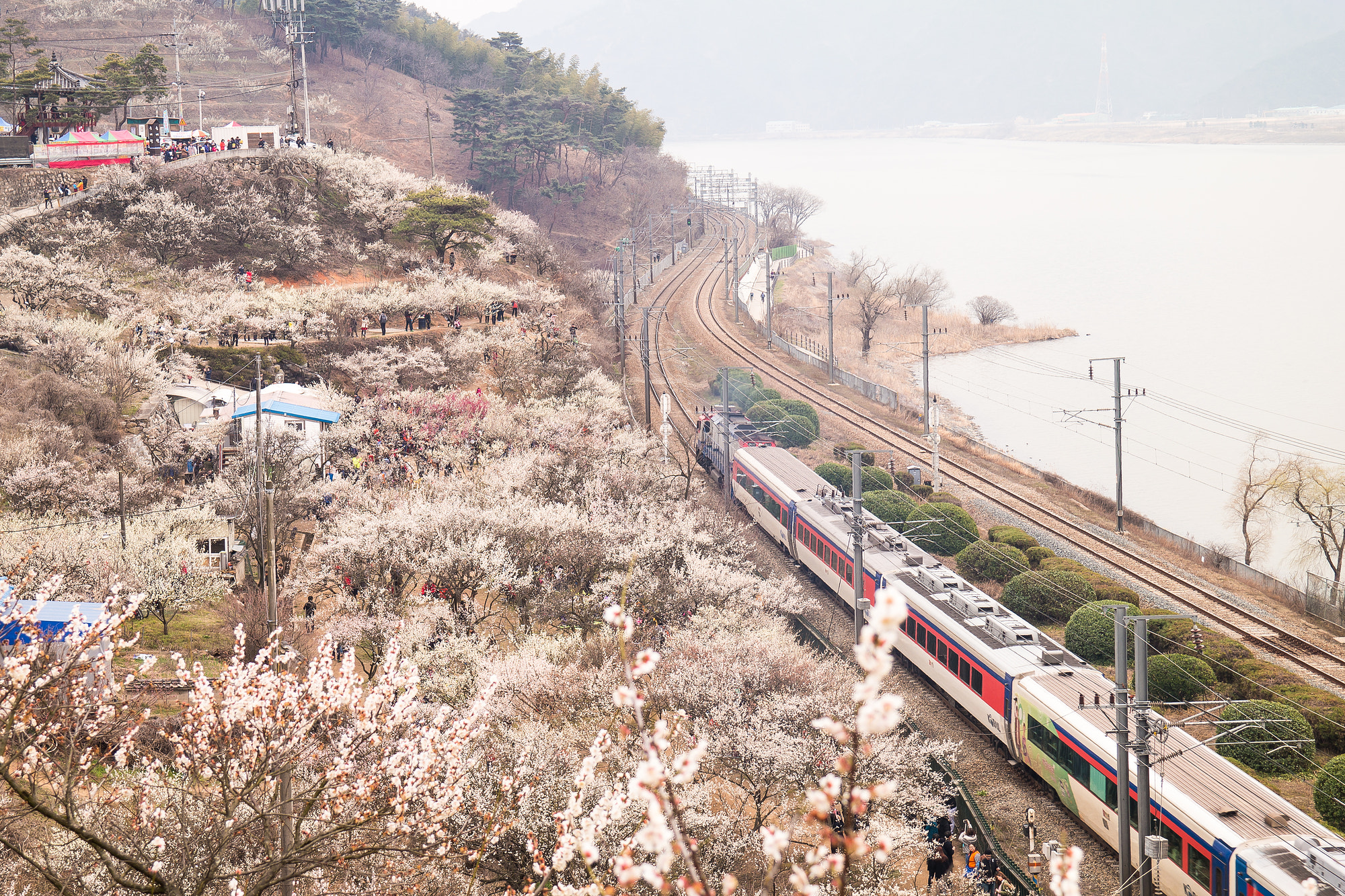 Samsung NX300M + Samsung NX 18-55mm F3.5-5.6 OIS sample photo. 양산 순매원 photography