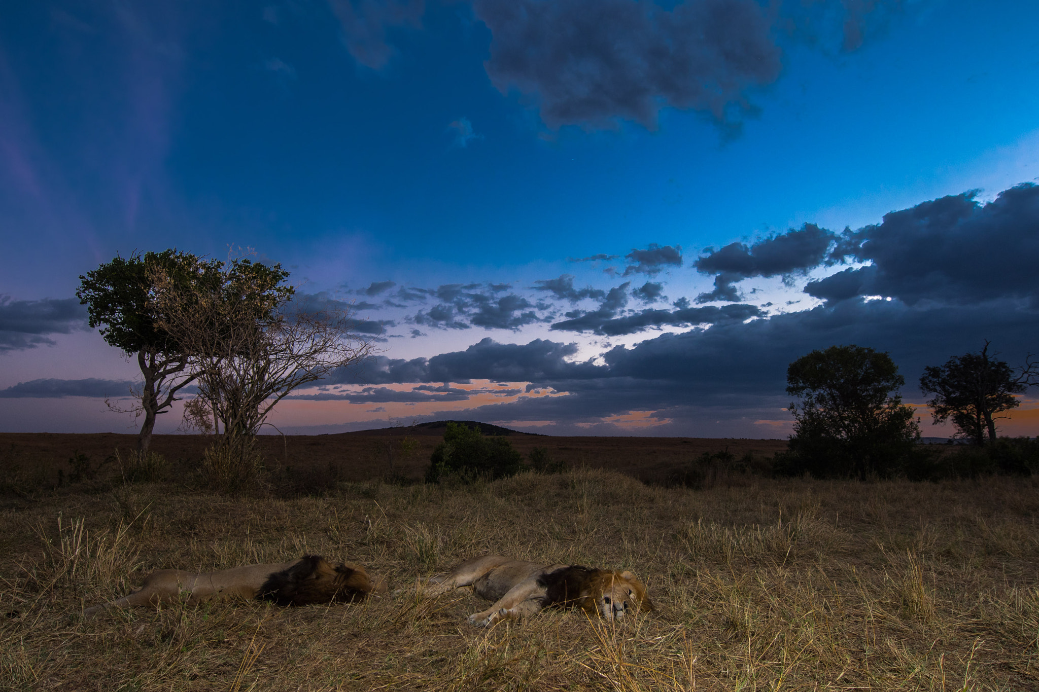 Nikon AF-S Nikkor 14-24mm F2.8G ED sample photo. The evening slumber. photography