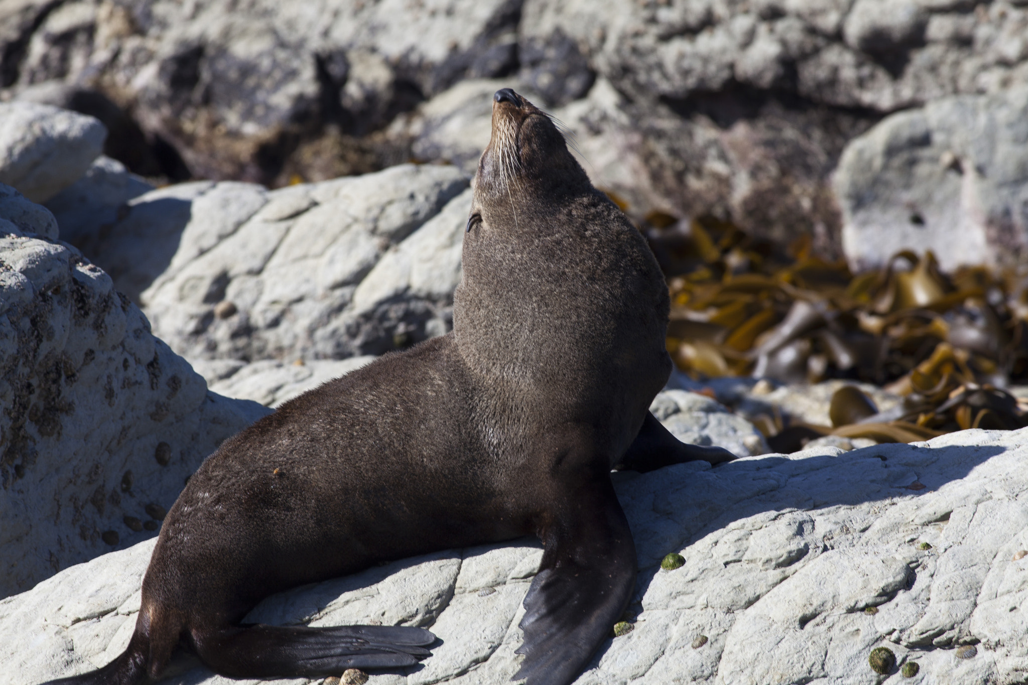 Canon EF 400mm F5.6L USM sample photo. Into the wild photography
