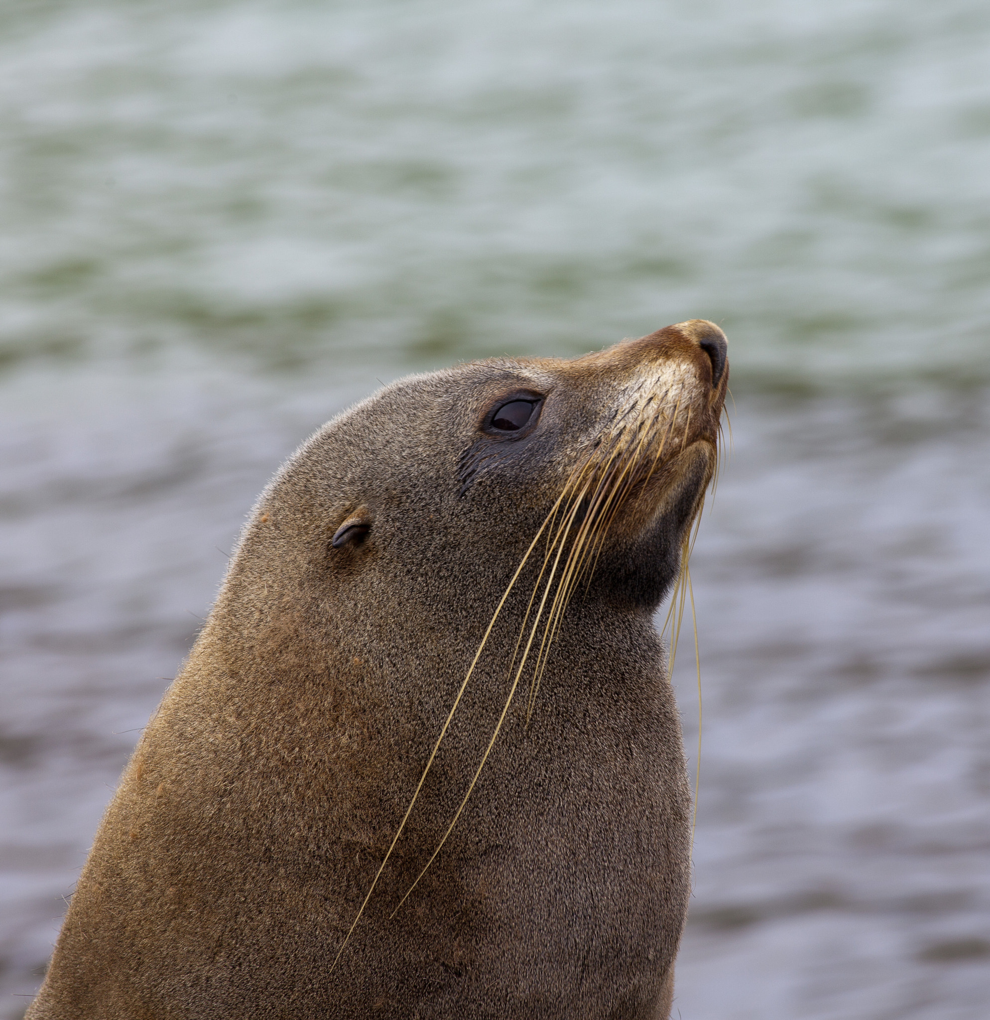 Canon EF 400mm F5.6L USM sample photo. Into the wild photography