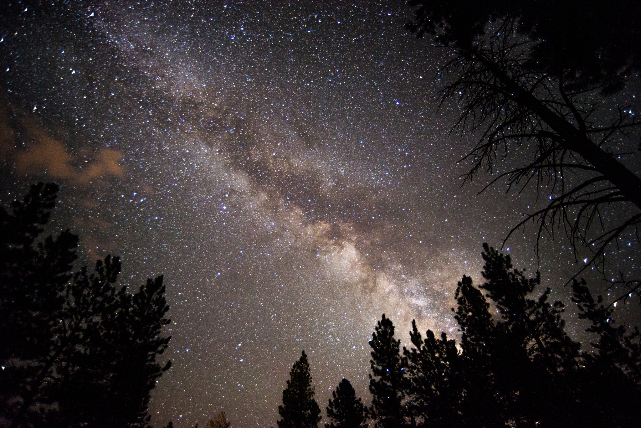 Nikon D600 sample photo. - milky way - photography