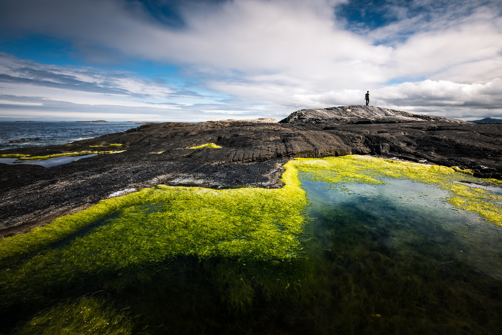 Sony a7R II + Canon EF 16-35mm F4L IS USM sample photo. Green ribbon photography