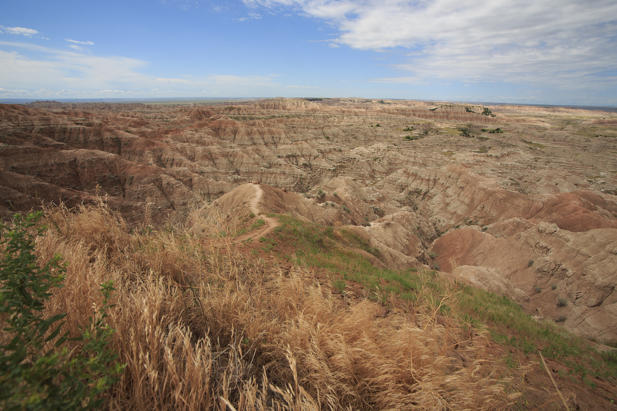 Sigma 15-30mm f/3.5-4.5 EX DG Aspherical sample photo. Badlands 4 photography