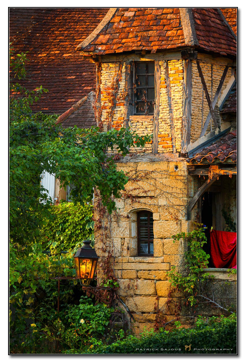 Canon EOS-1Ds Mark III + Canon EF 70-200mm F4L IS USM sample photo. Sarlat photography
