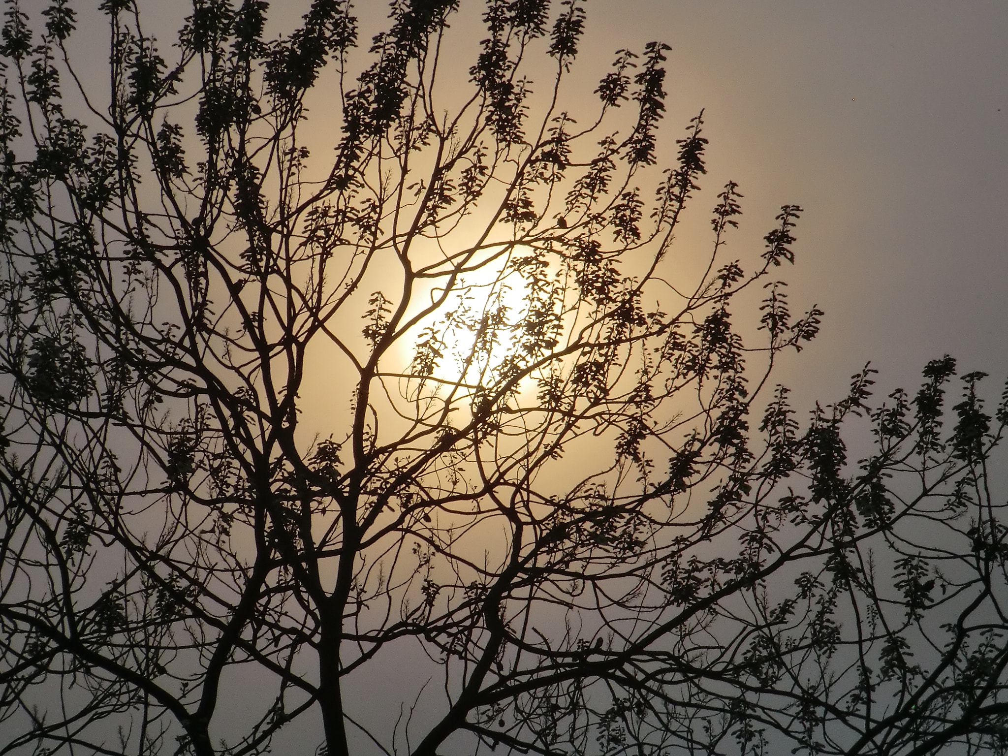 CASIO EX-H15 sample photo. Sunlight photography