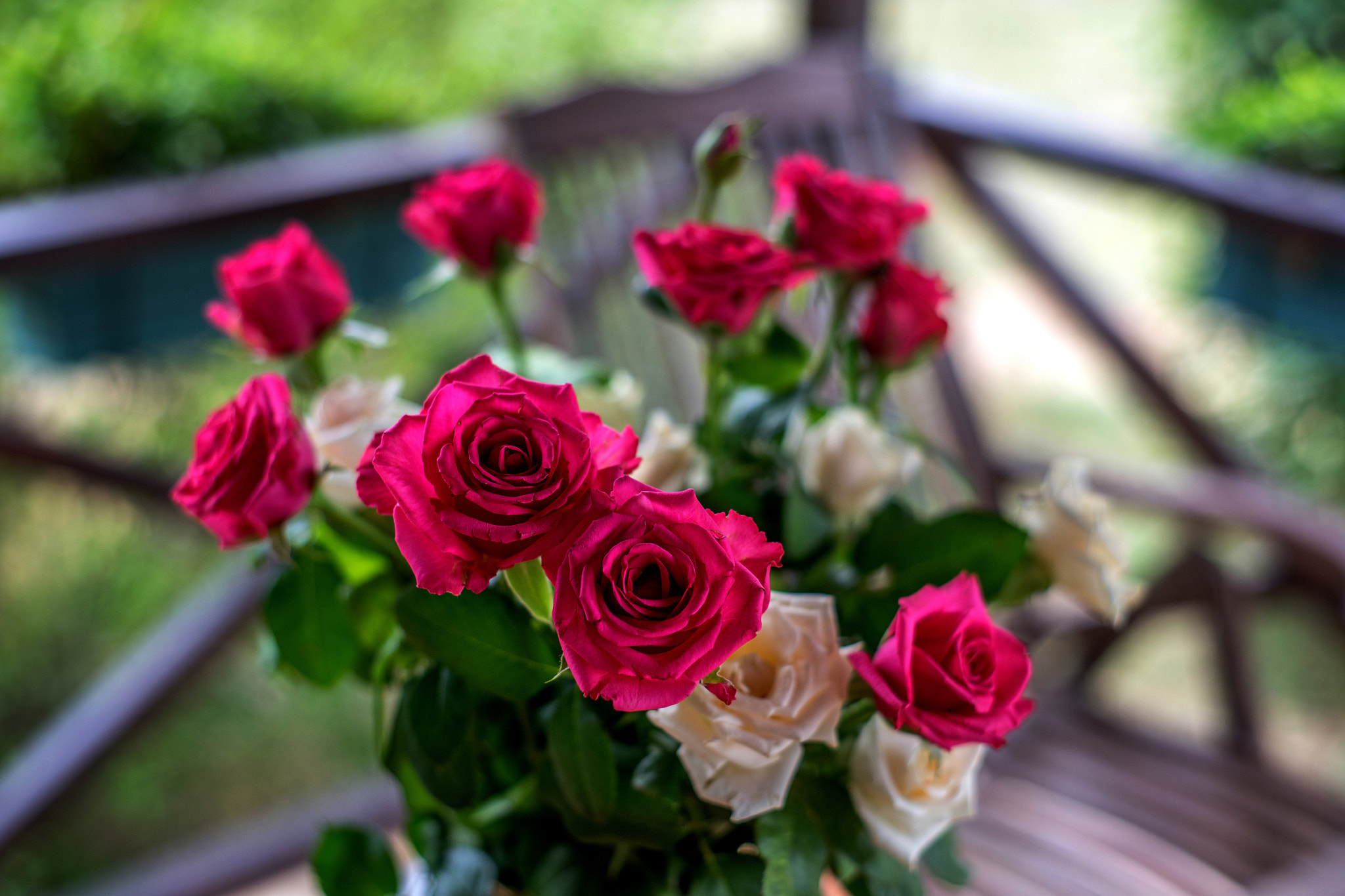 Sony a7 + Minolta AF 50mm F1.7 sample photo. Roses photography