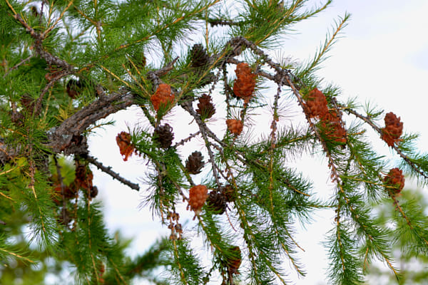 Tokina AT-X 287 AF (AF 28-70mm f/2.8) sample photos - ExploreCams