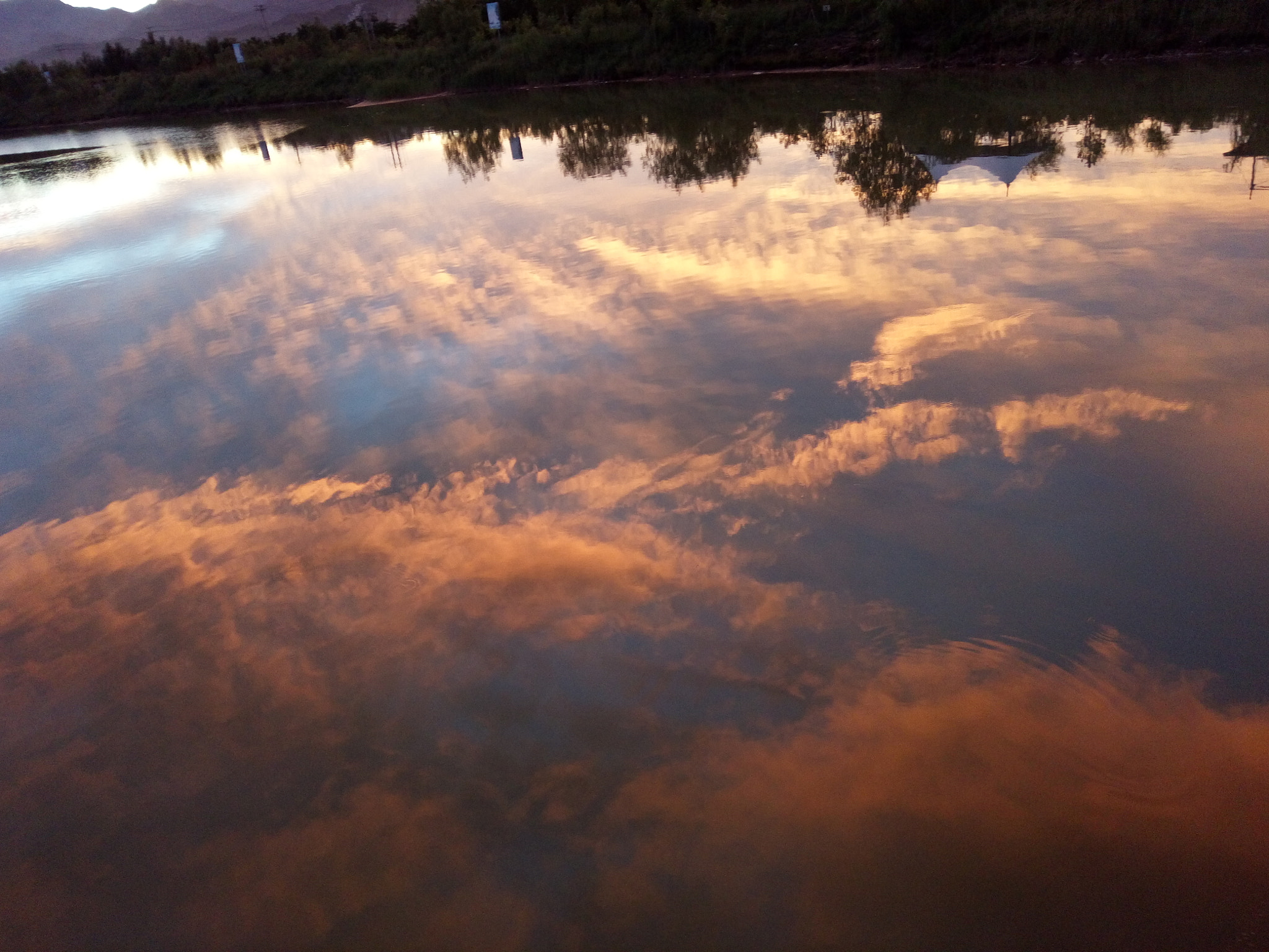 vivo X6D sample photo