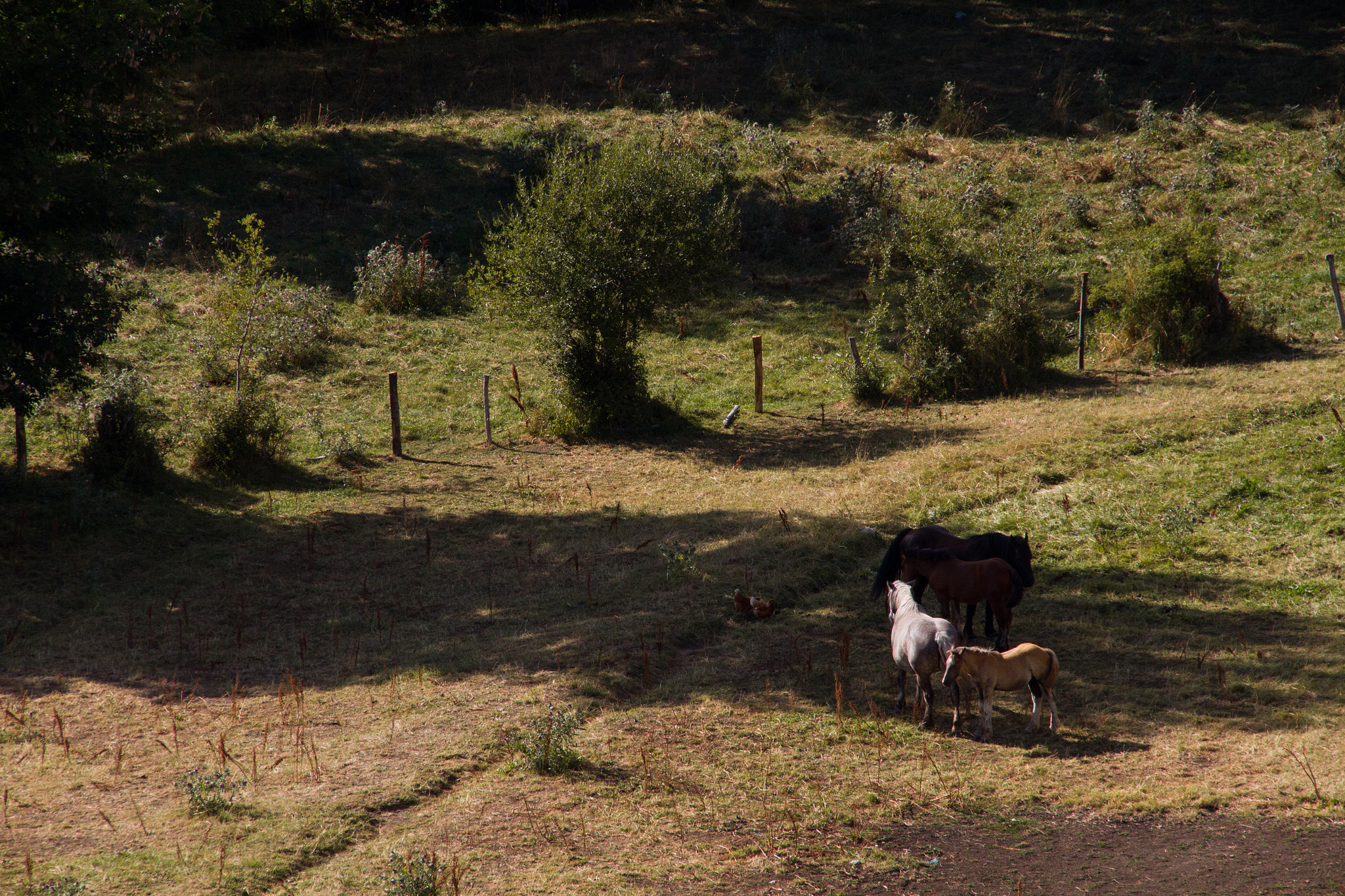 Canon EOS 7D + Tamron AF 18-270mm F3.5-6.3 Di II VC LD Aspherical (IF) MACRO sample photo. Nature at its best. photography