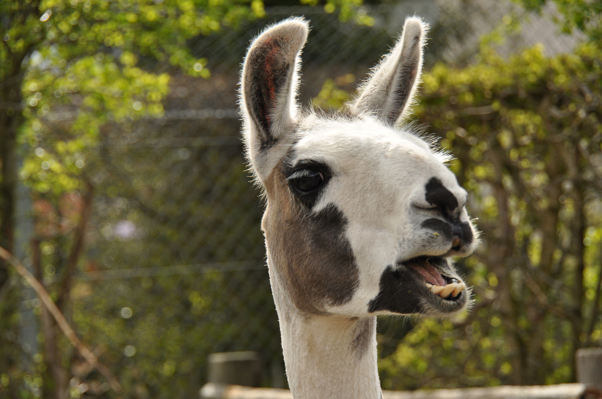 Nikon D5000 sample photo. () photography