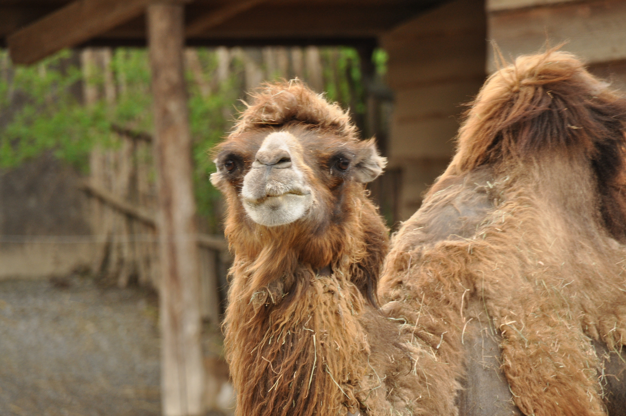 Nikon D5000 sample photo. () photography