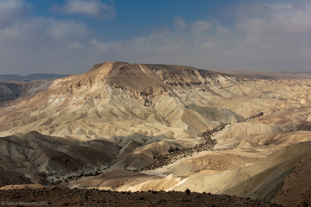 Canon EOS 450D (EOS Rebel XSi / EOS Kiss X2) + Canon EF 17-40mm F4L USM sample photo. Negev desert photography