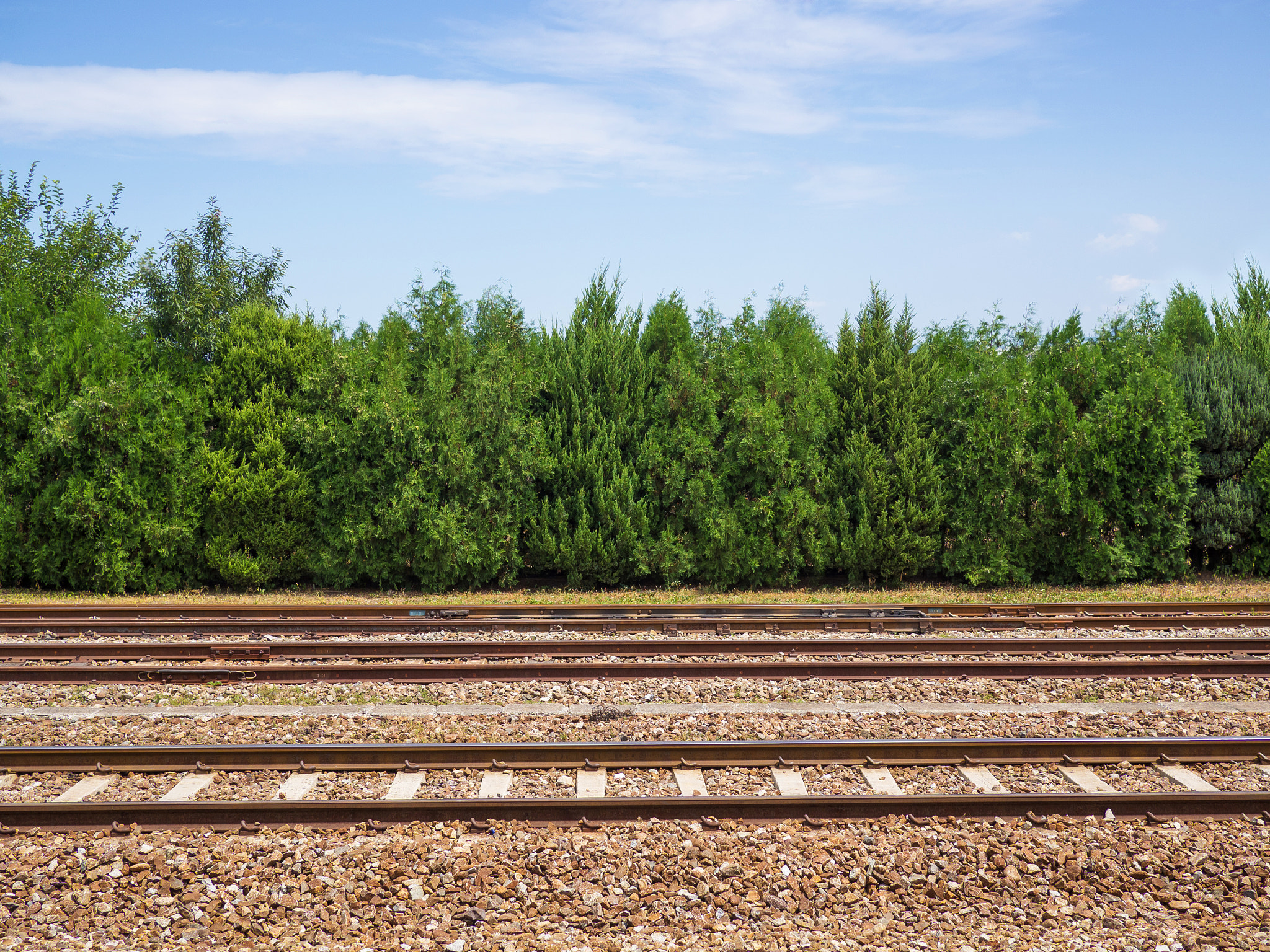 Olympus OM-D E-M10 II + Panasonic Lumix G 20mm F1.7 ASPH sample photo. Railroad side view photography