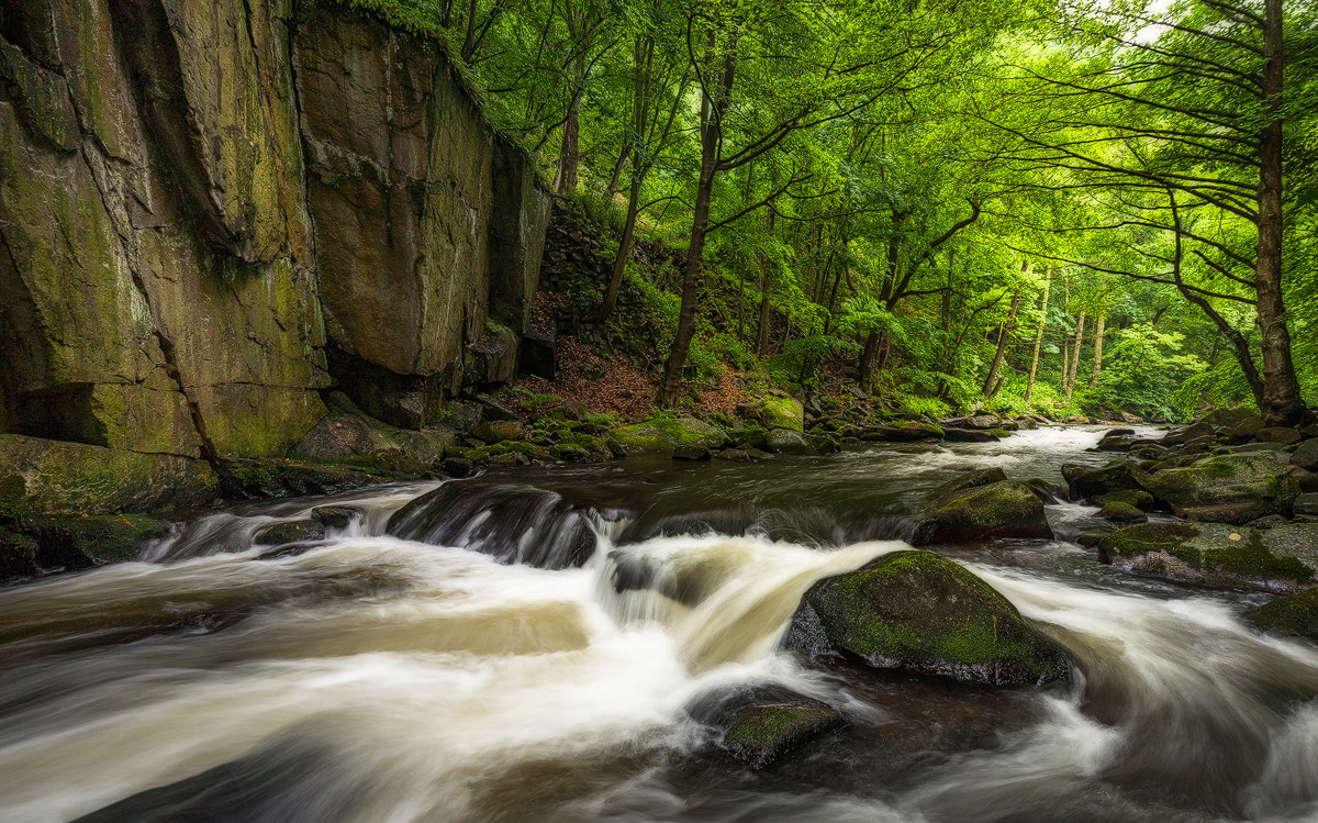Canon EOS 5D + Canon EF 16-35mm F4L IS USM sample photo. . photography