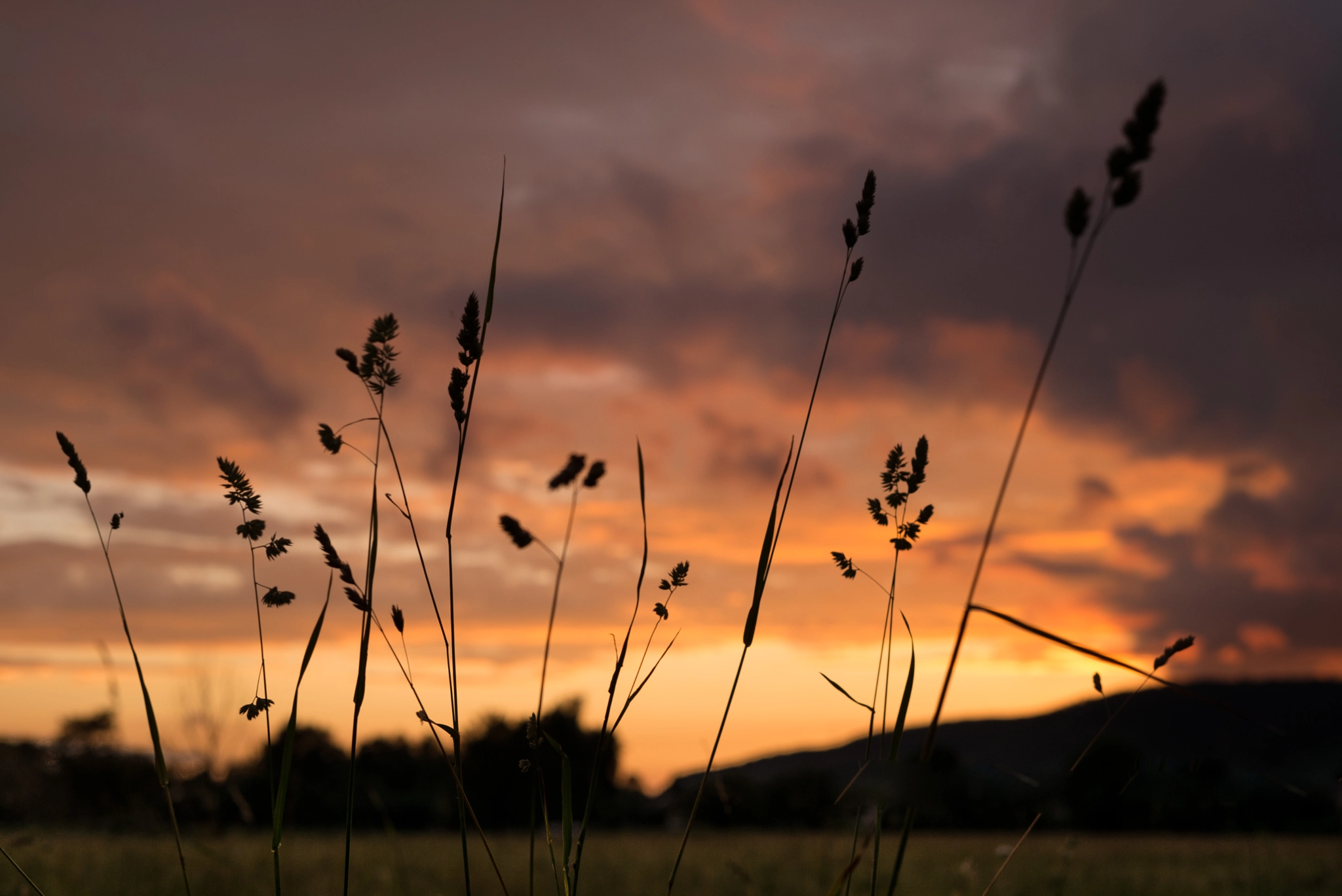 Leica Summarit-M 50mm F2.5 sample photo. Things photography