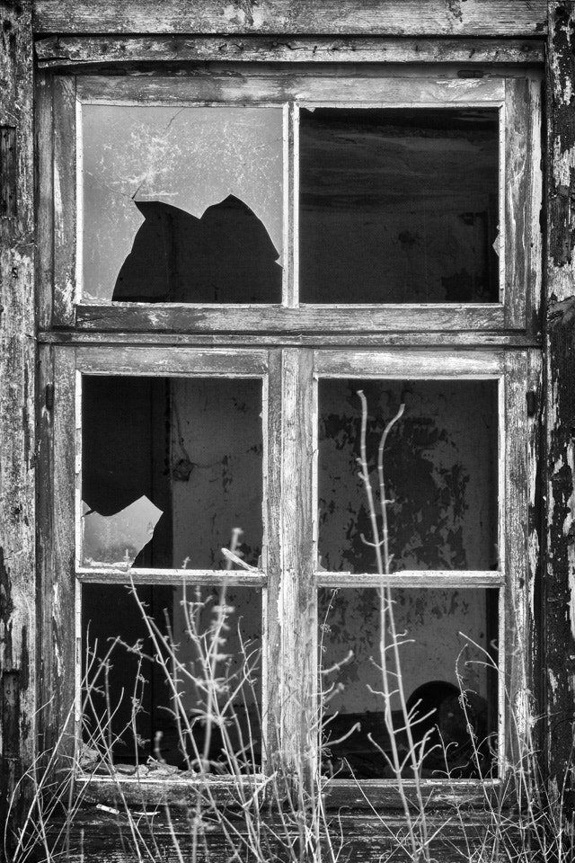 Sony SLT-A65 (SLT-A65V) sample photo. Old window photography