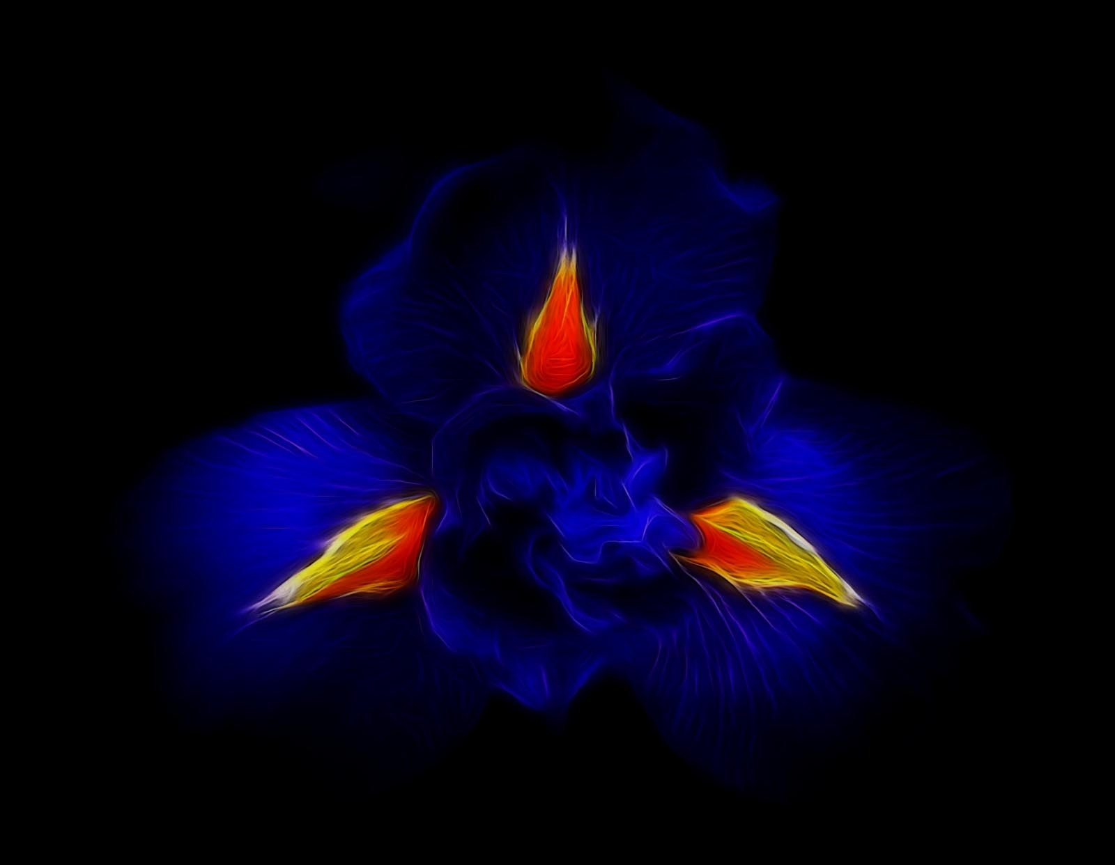 Samsung Galaxy Trend Plus sample photo. Flower photography