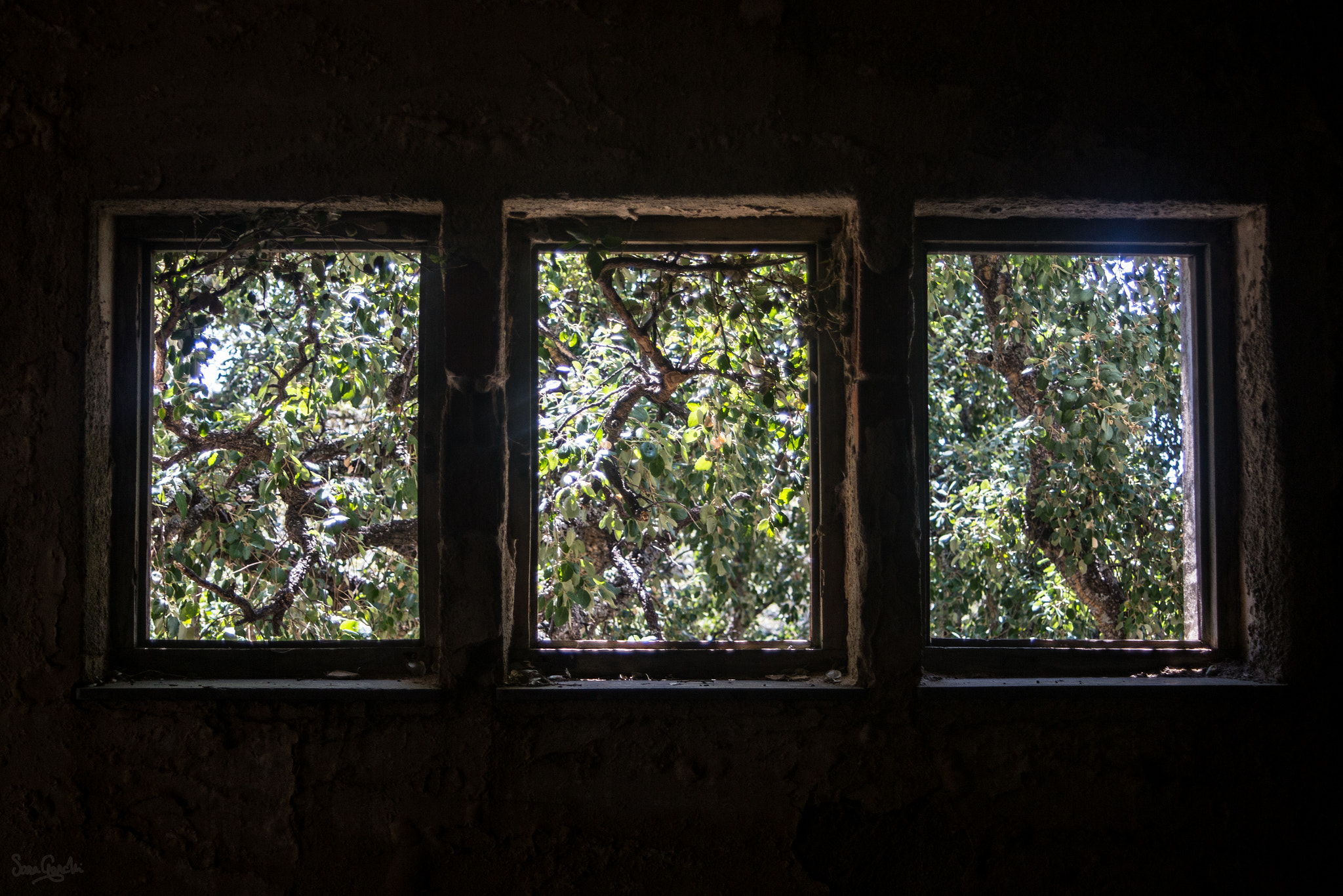 Canon EF 28-80mm f/3.5-5.6 USM sample photo. Windows on the world photography