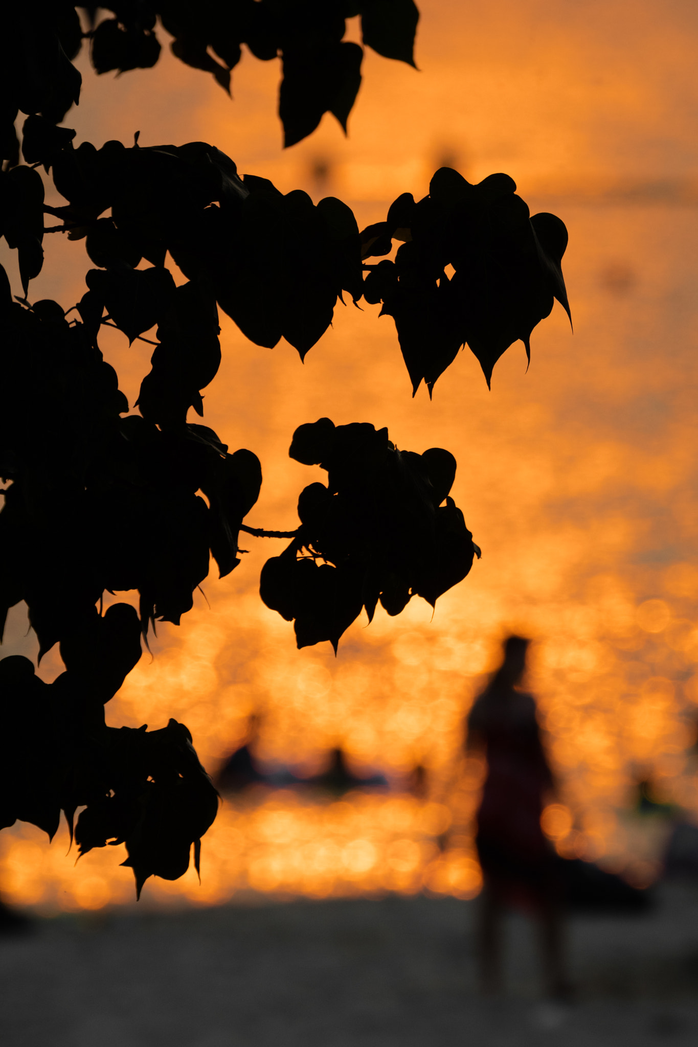 Canon EF 70-200mm F2.8L IS II USM sample photo. On the beach photography