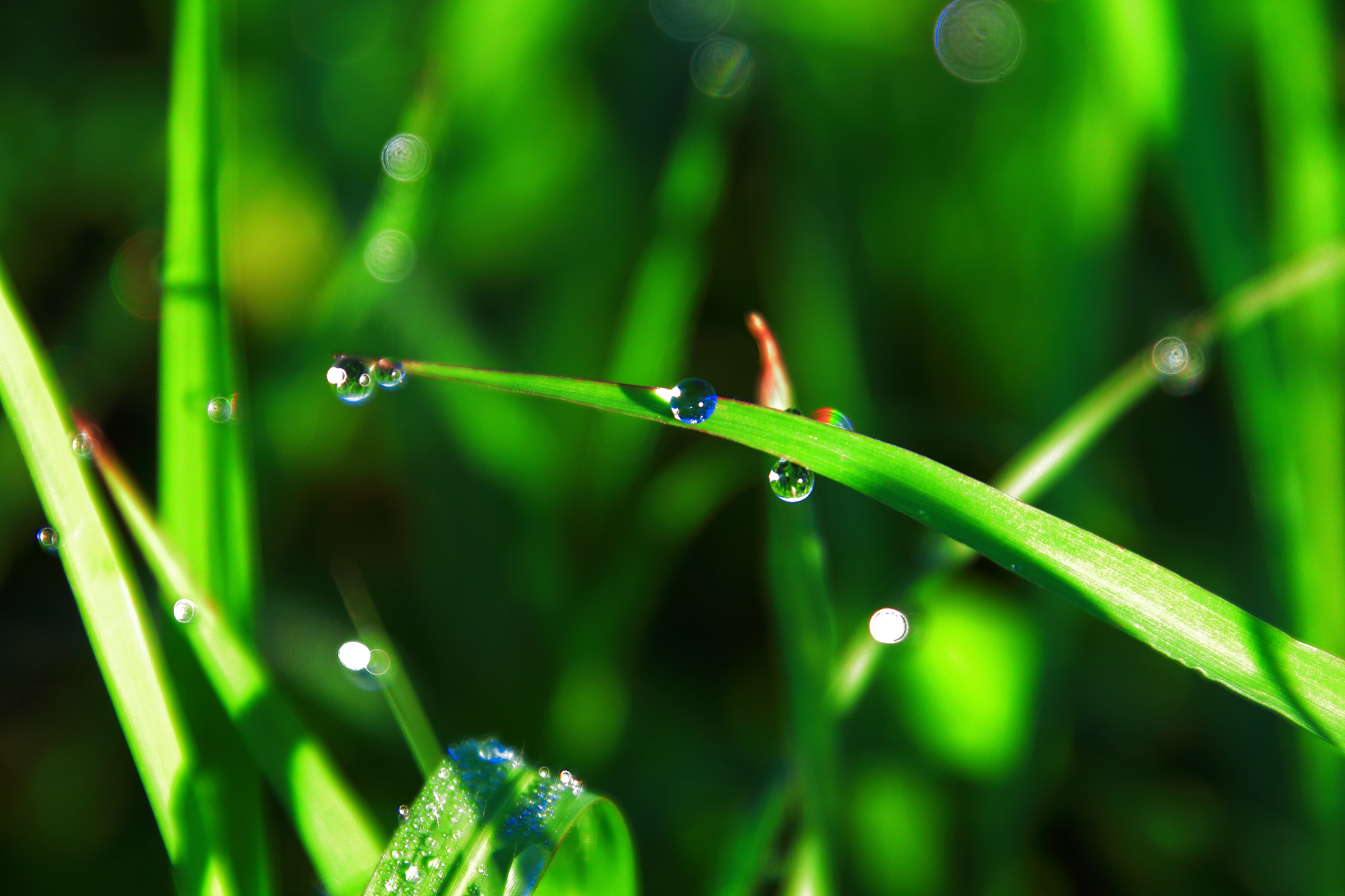 Canon EOS M sample photo. Fresh photography